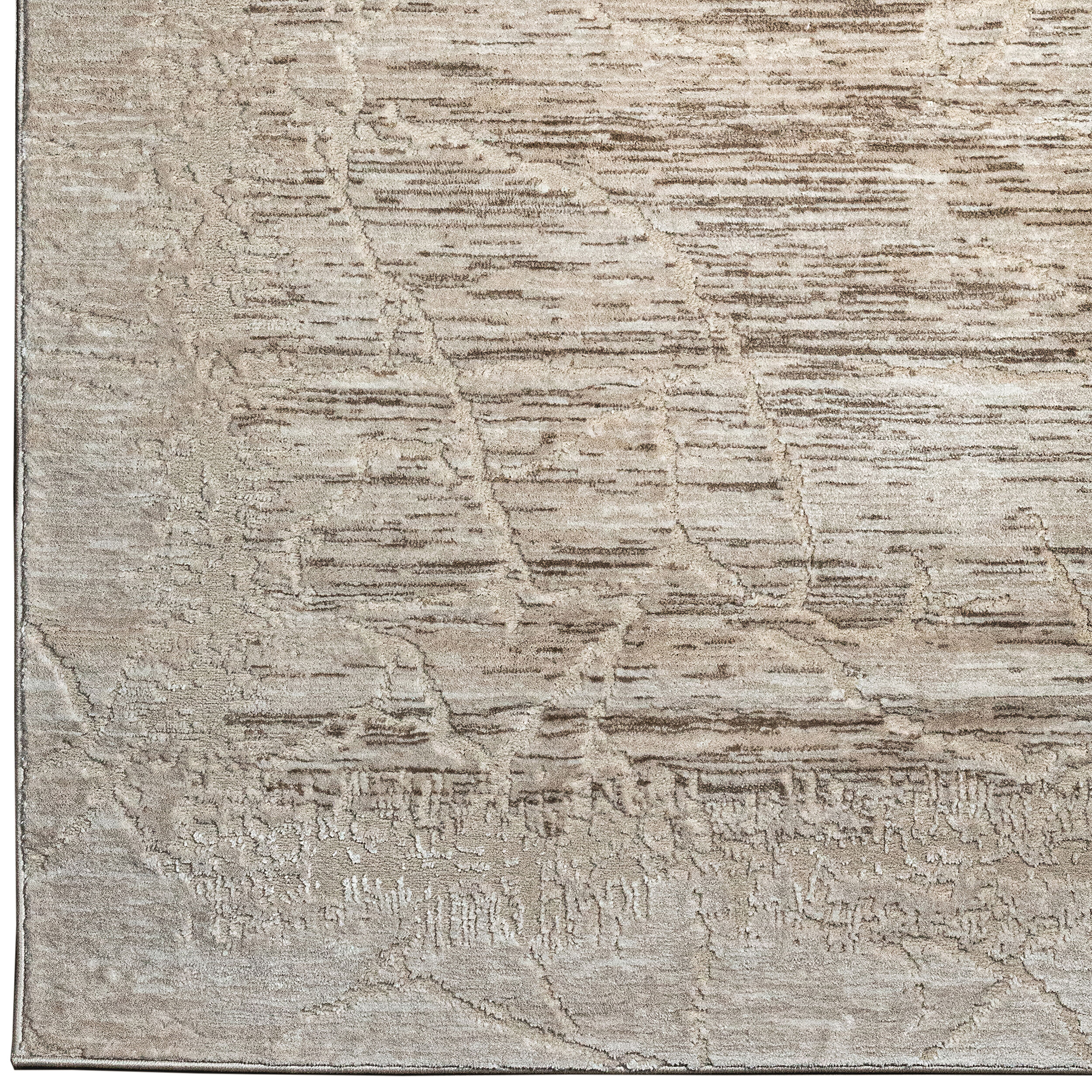 Radici USA 1229/1006/BEIGE rugs - View #4