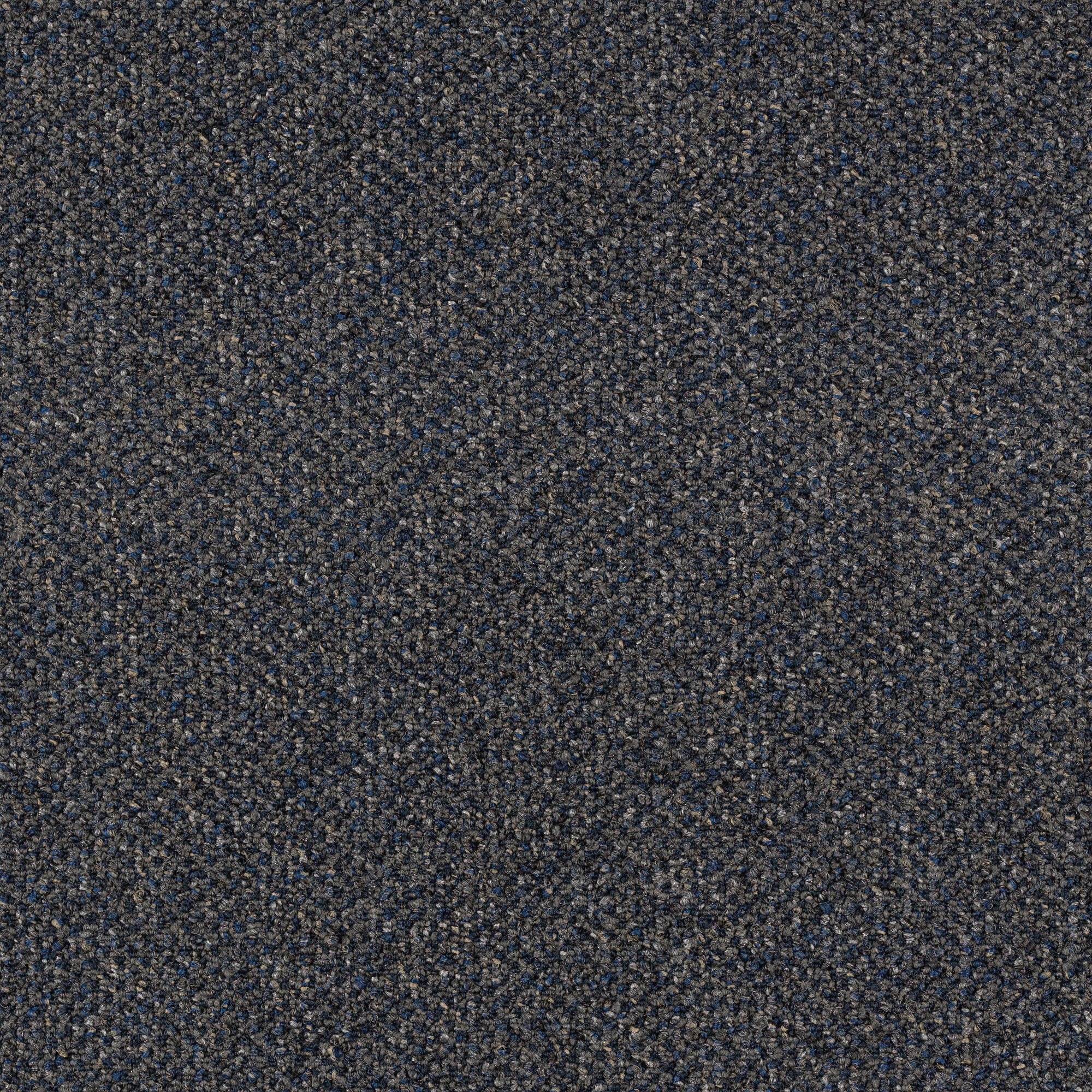  LC49-12-L004 Home and Office Exercise Room Momentous Blue 22-oz sq yard Nylon Textured Indoor Carpet