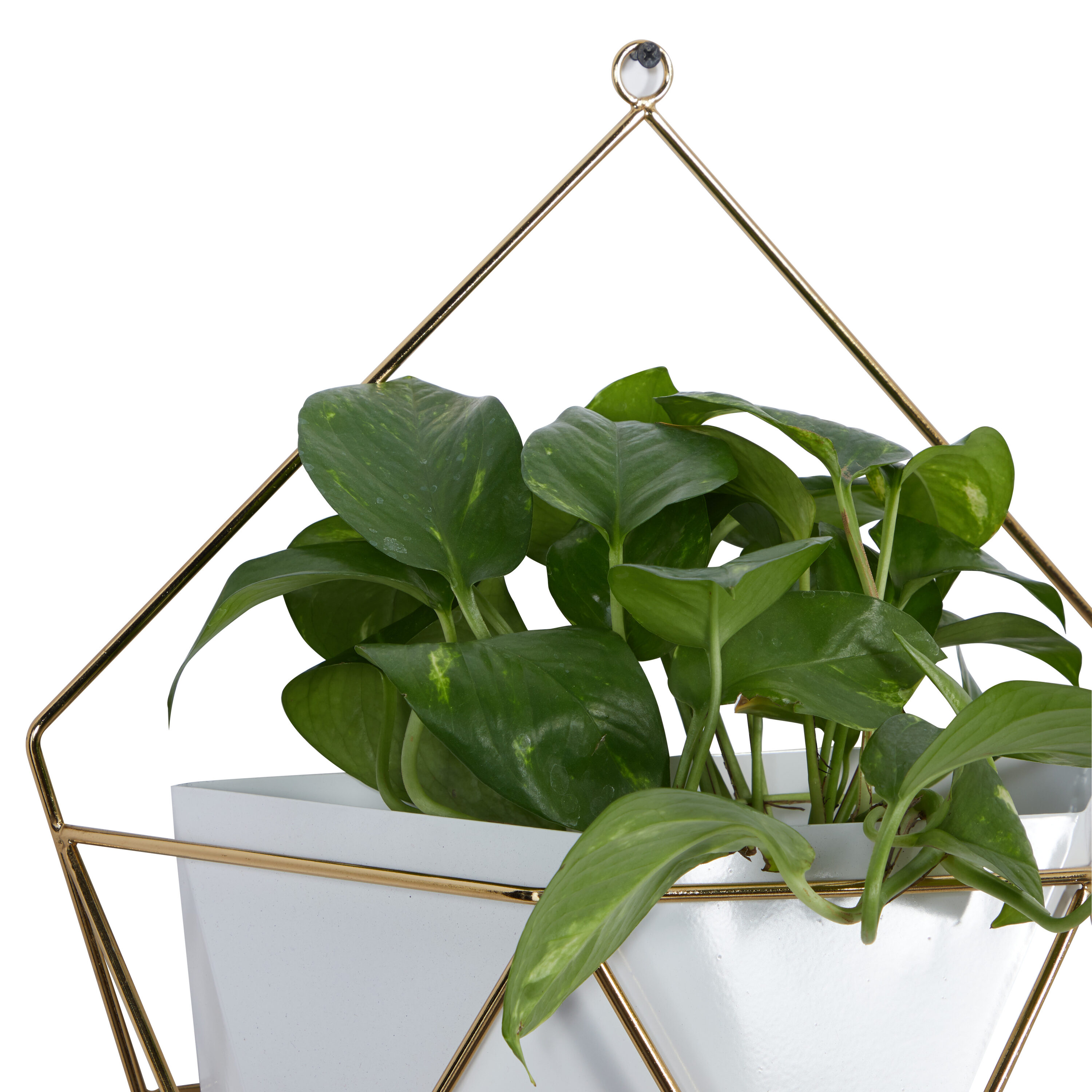 CosmoLiving by Cosmopolitan 51964 Planter-Window-Box - View #4