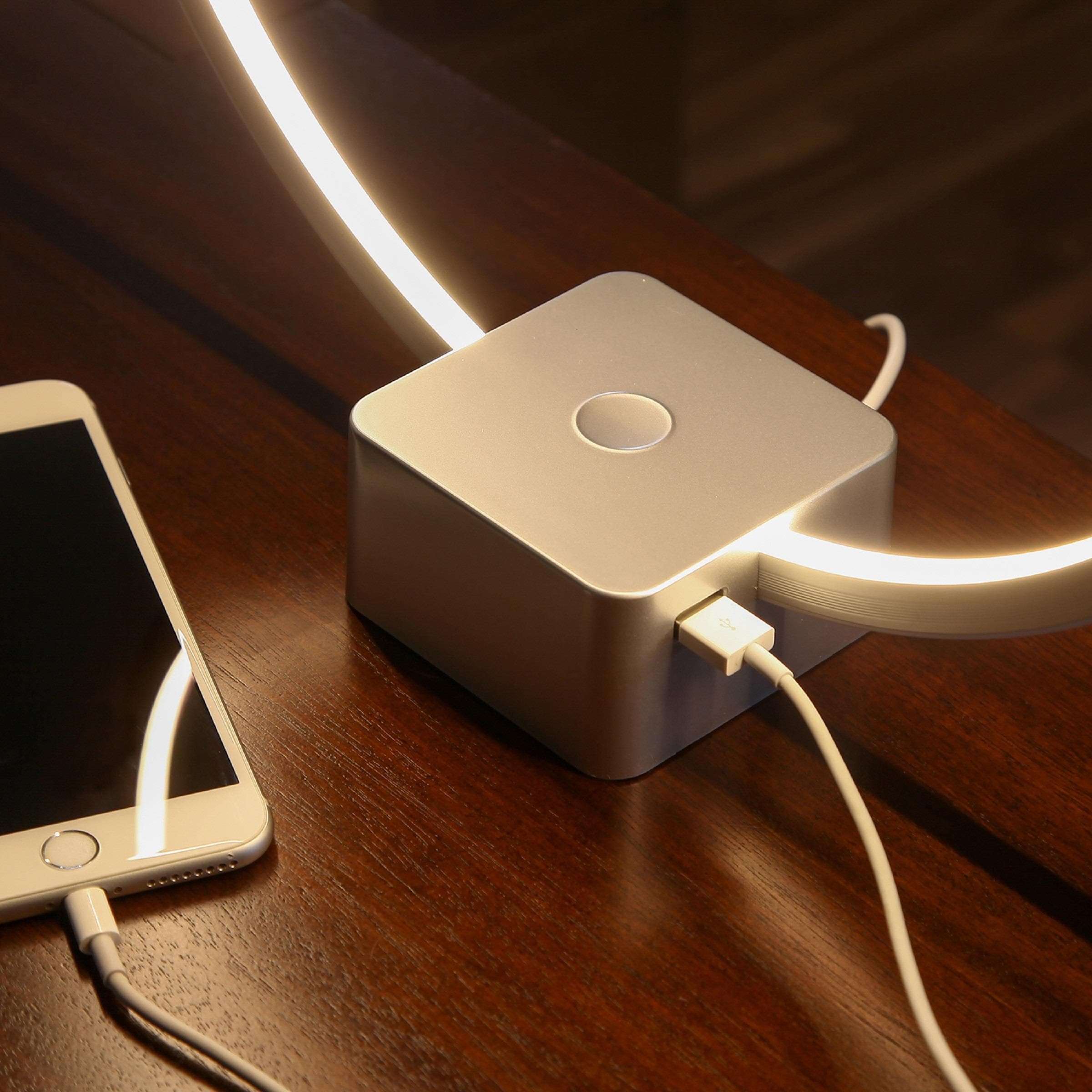 Platinum Silver Modern LED Desk Lamp with USB Port