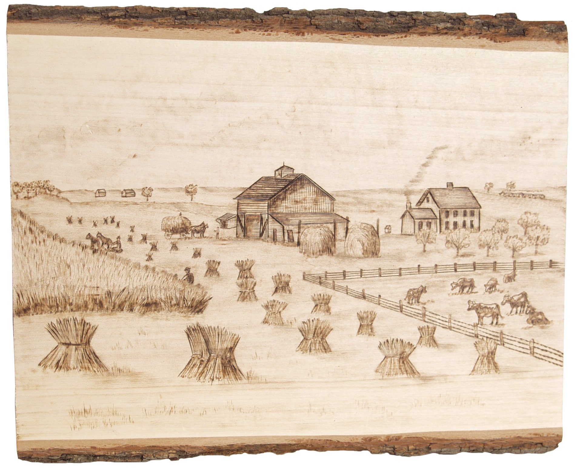 Medium Basswood Planks with Live Edge Bark, Set of 6