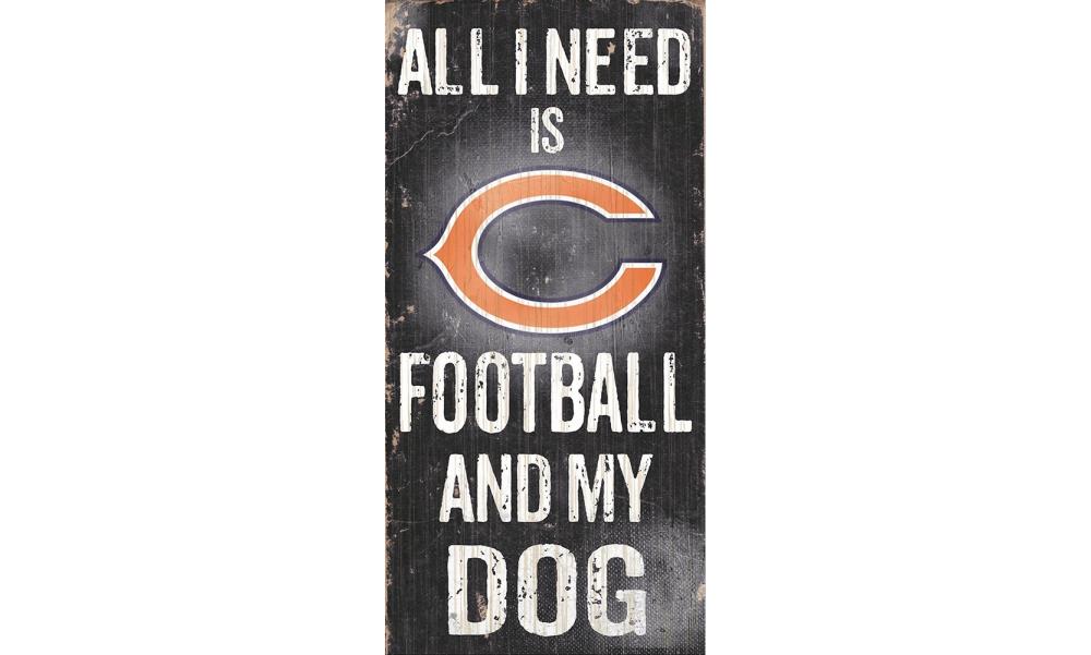 YouTheFan 953968 6 x 19 in. NFL Chicago Bears 3D Stadium Banner - Soldier Field