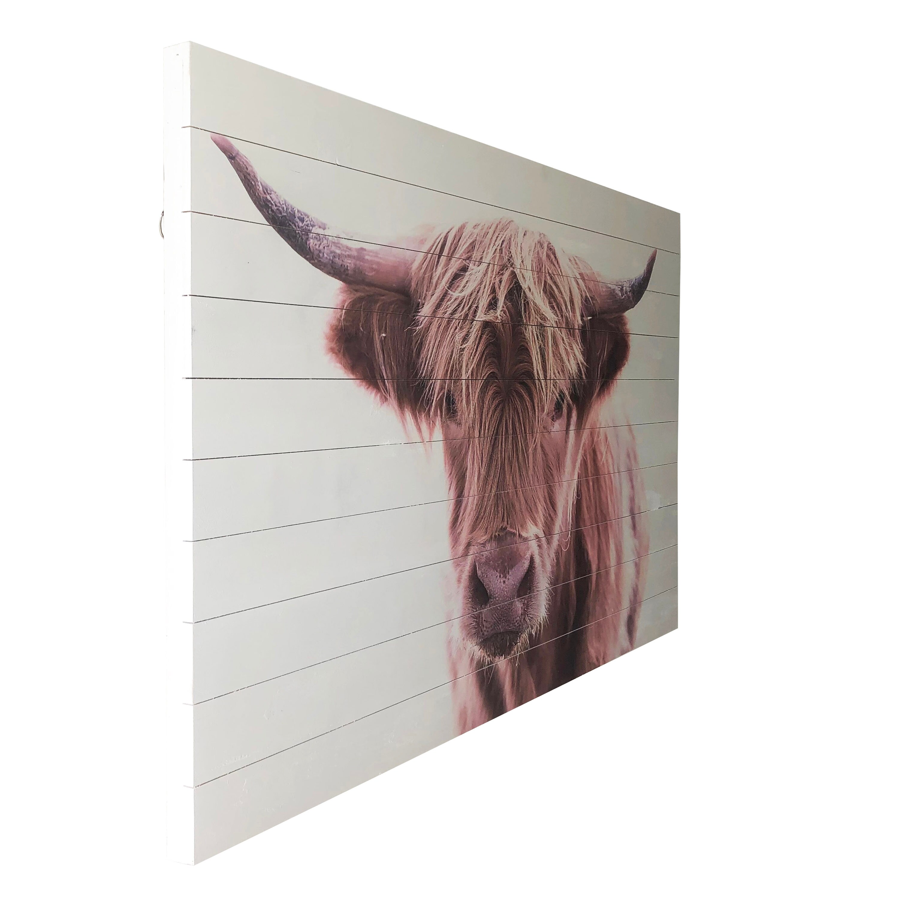 24 x 36 Highland Cow Print on Planked Wood Wall Sign Panel Brown -  Gallery 57