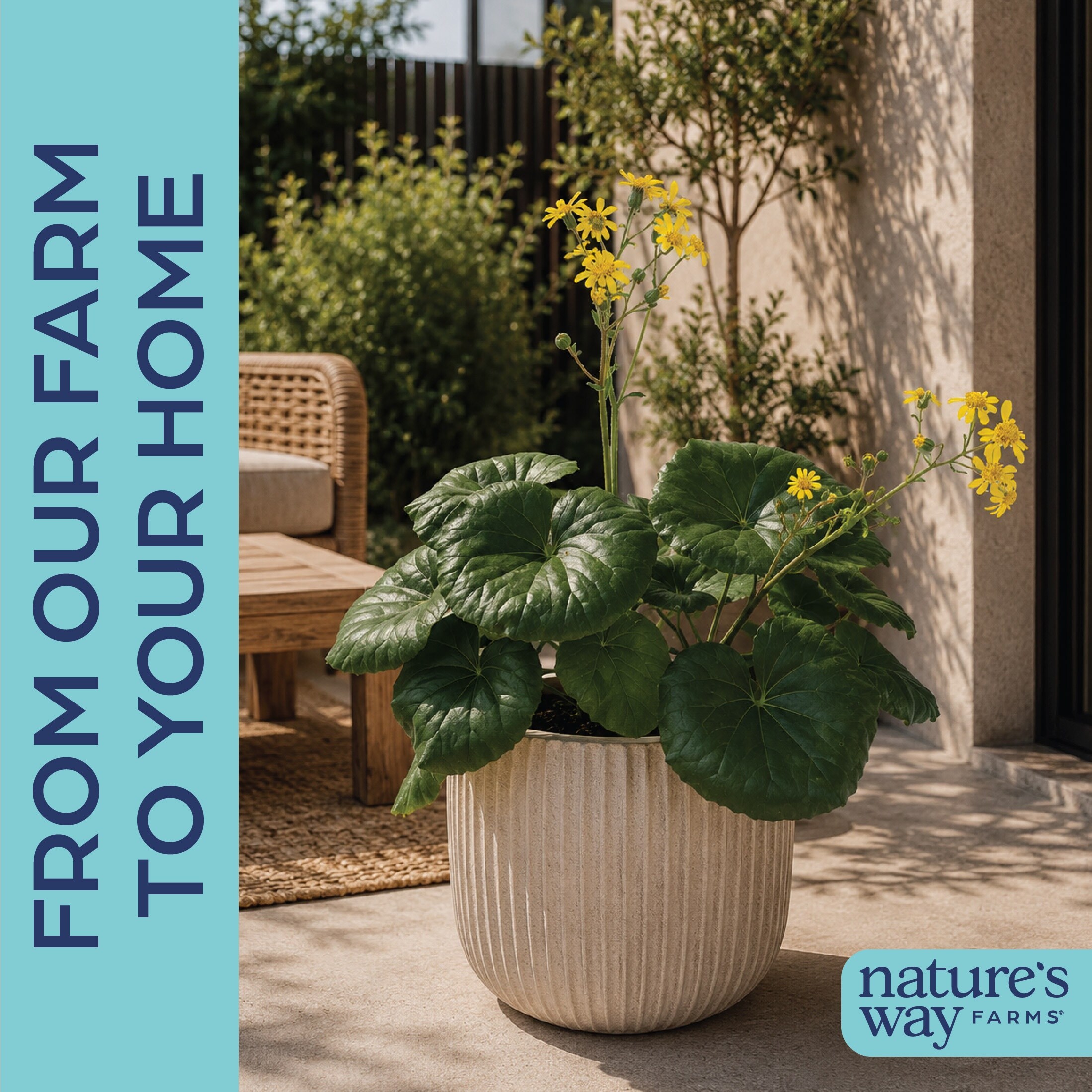 Nature's Way Farms 3870 perennials - View #4