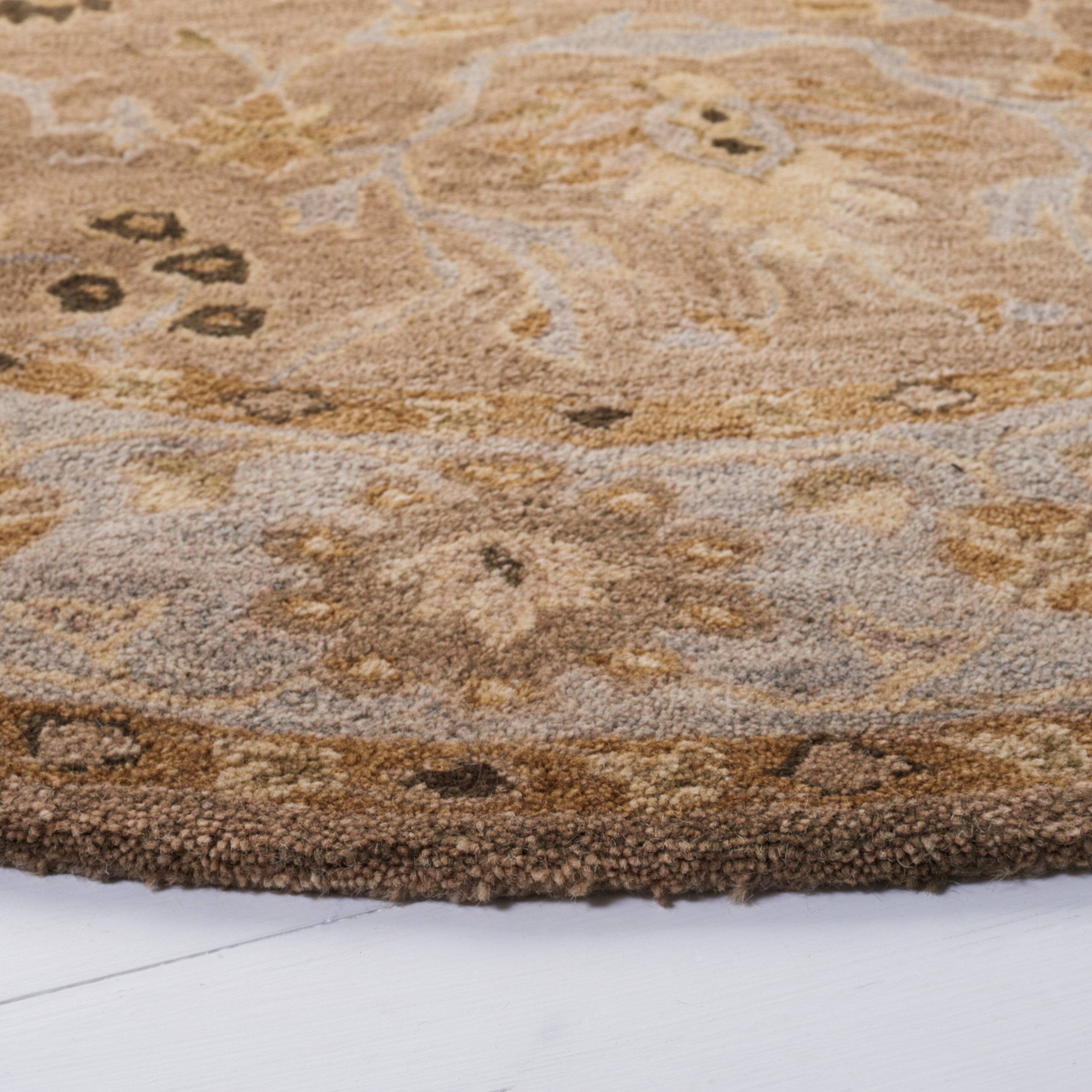 Safavieh AN585F-6R rugs - View #3