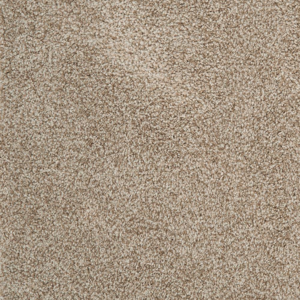 STAINMASTER DL047-416S (Sample) Signature Pinson Evermore Textured Carpet