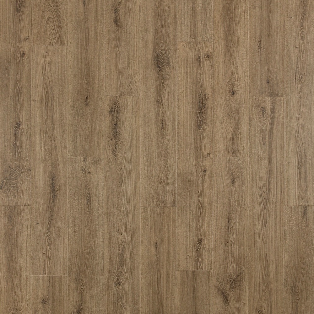 Pro +WetProtect Knightwood Oak 10-mm T x 7-1/2-in W x 47-1/4-in L Waterproof Wood Plank Laminate Flooring (27-sq ft) in Brown | - Pergo LF001102