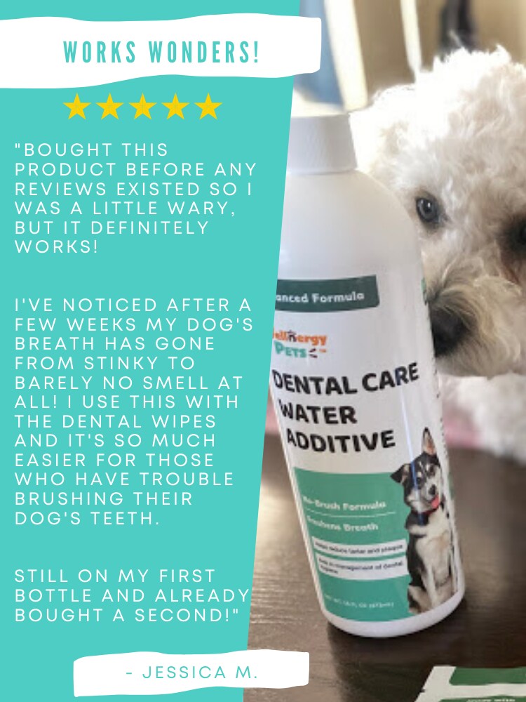 Wellnergy Pets Blue Wellnergy Pets Dental Care Water Additive