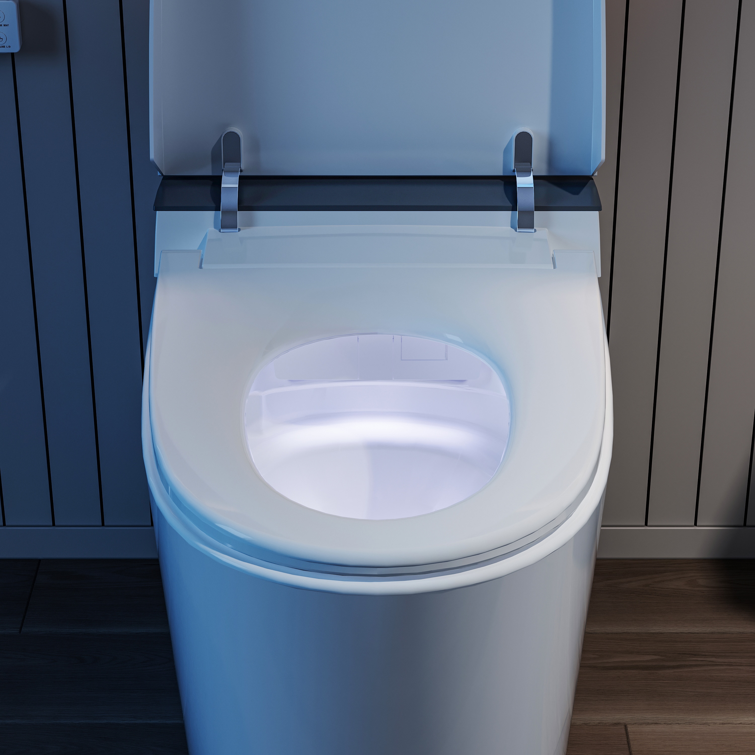 WELLFOR XS-P238860 toilets - View #17