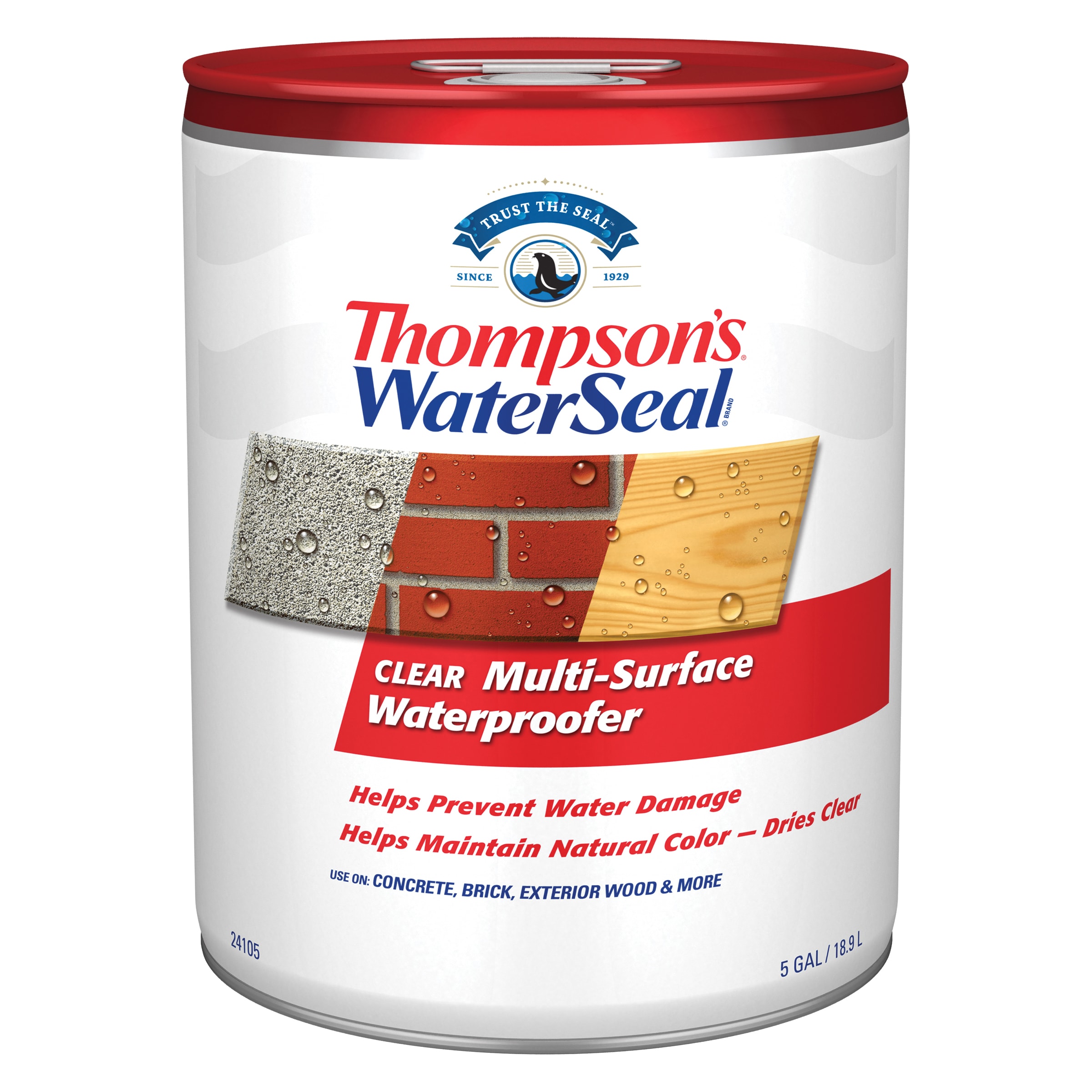 Thompson&rsquo;s WaterSeal Clear Flat Transparent Water-based Exterior 