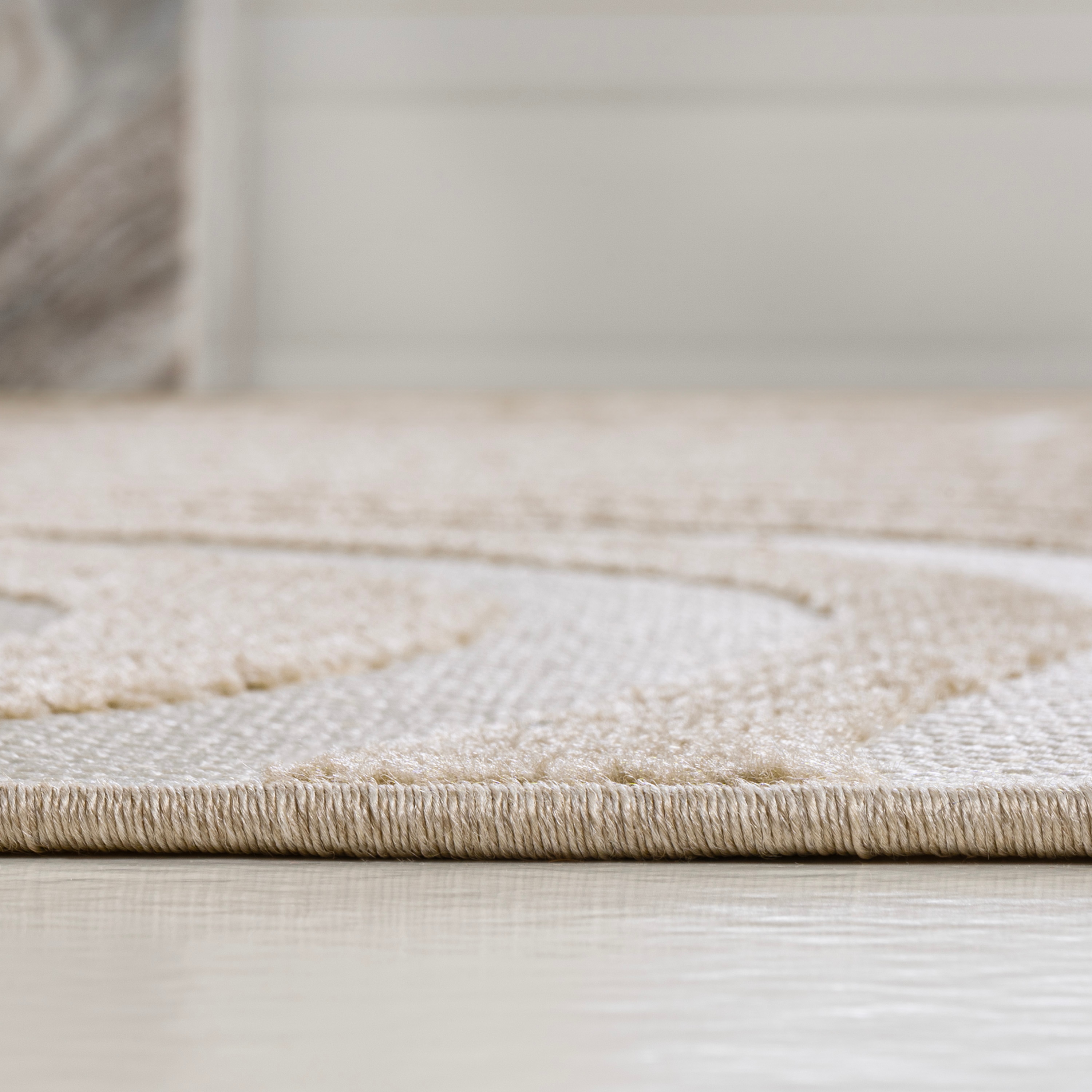 JONATHAN  Y SCN103D-4 rugs - View #6