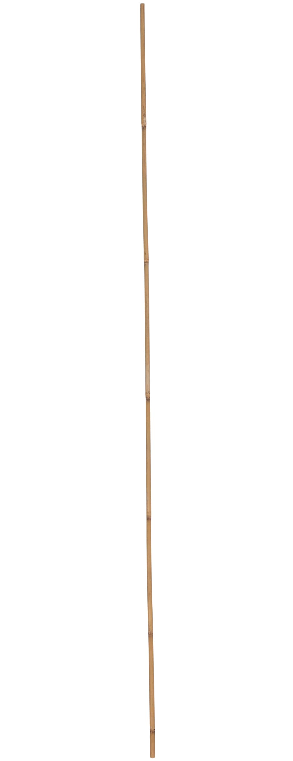 Garden Treasures N408L 48-Inches Bamboo Plant Support Landscape Stake