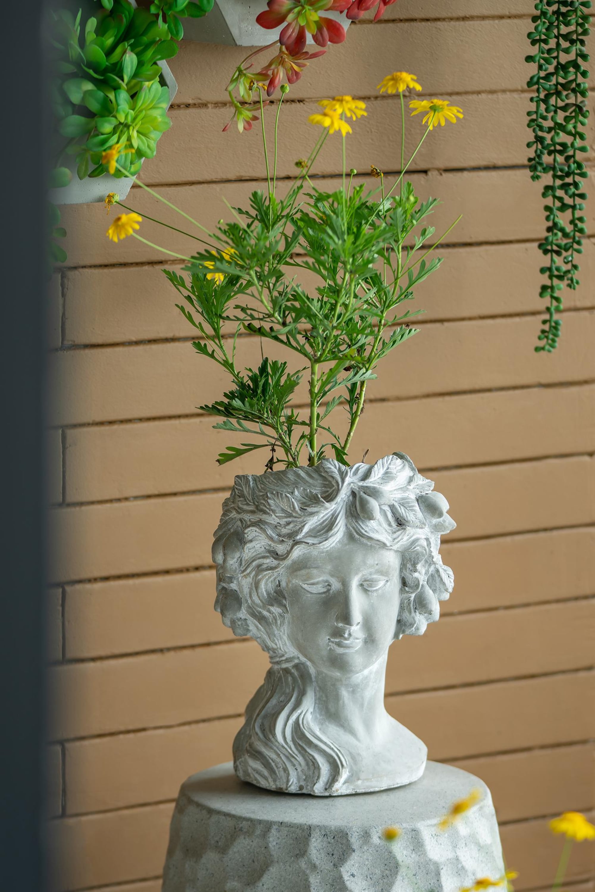 A&B Home D8029-DS Planter-Window-Box - View #6