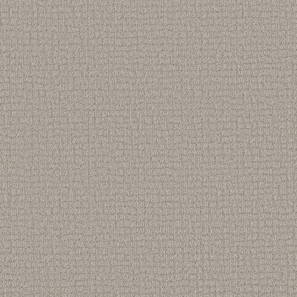 STAINMASTER PetProtect (Sample) 8-in x 8-in with LeakDefense Feline Fantasia Sculpture Brown 34.1-oz sq yard Solution-dyed polyester Pattern Indoor Carpet