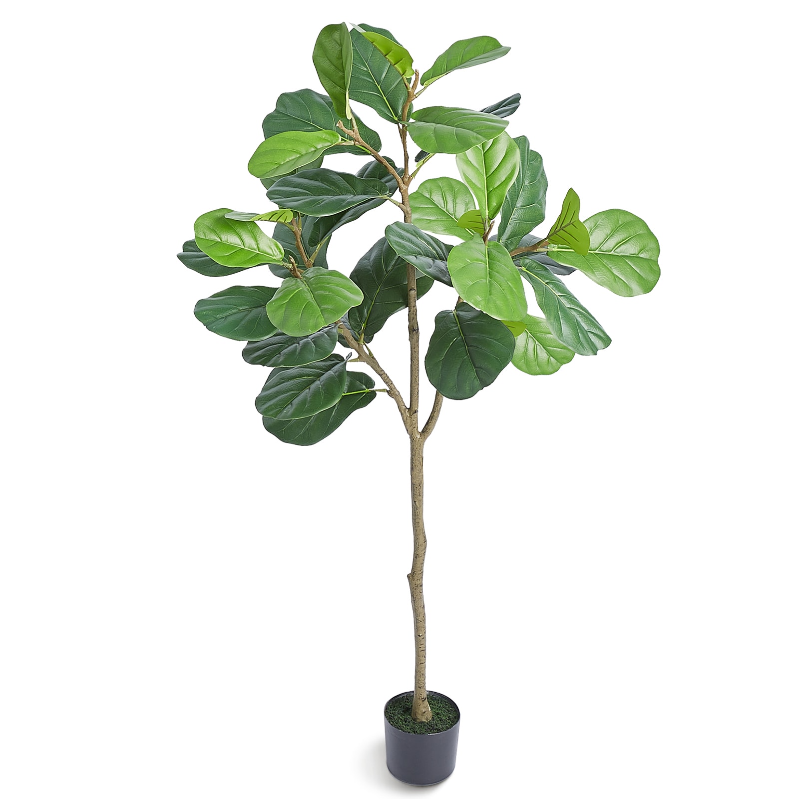 VEVOR RZS5FTQS0000AUPBGV0 61.26-in Green Indoor/Outdoor Floor Fiddle Leaf Artificial tree