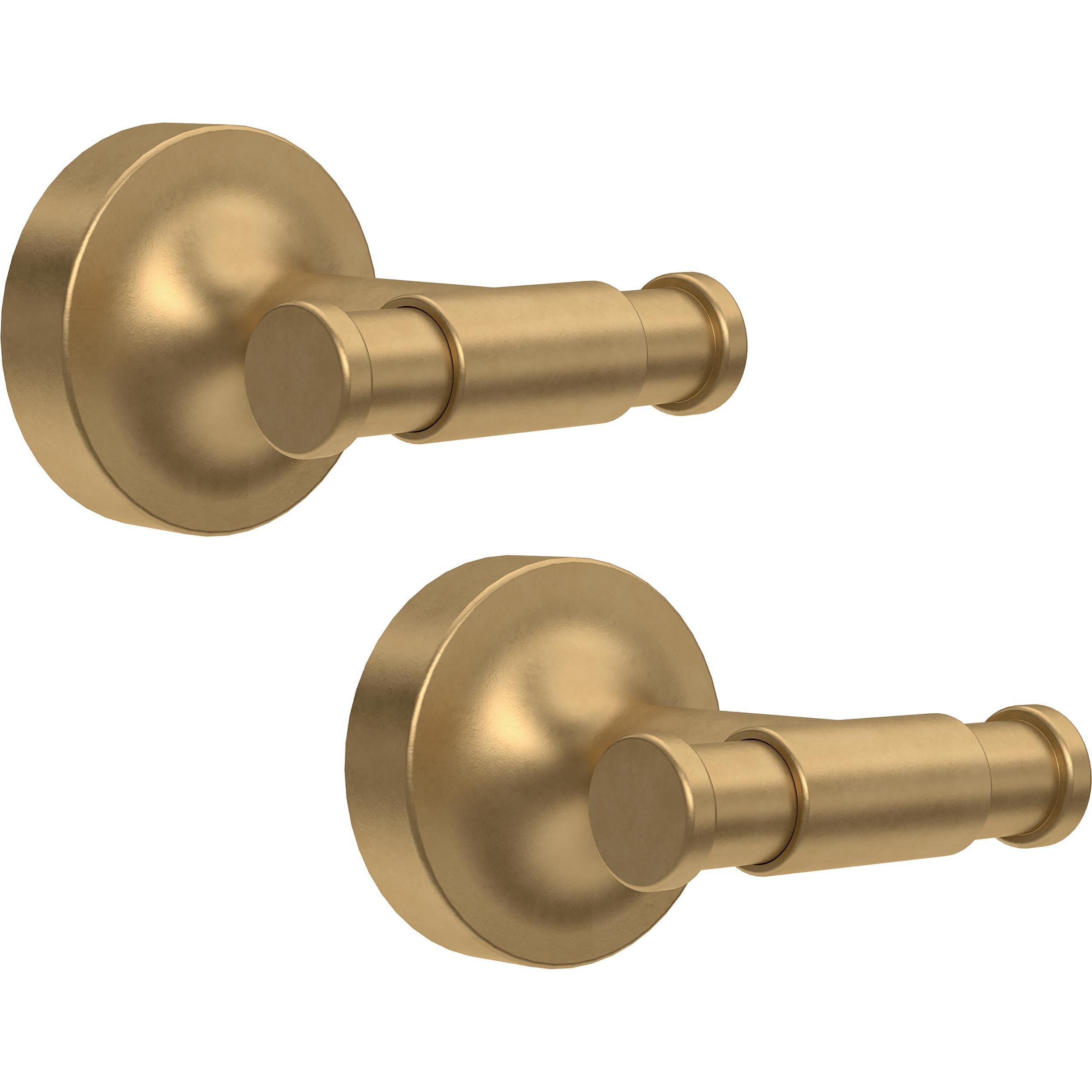 Moen Weymouth Brushed Gold Double-Hook Wall Mount Towel Hook in the Towel  Hooks department at