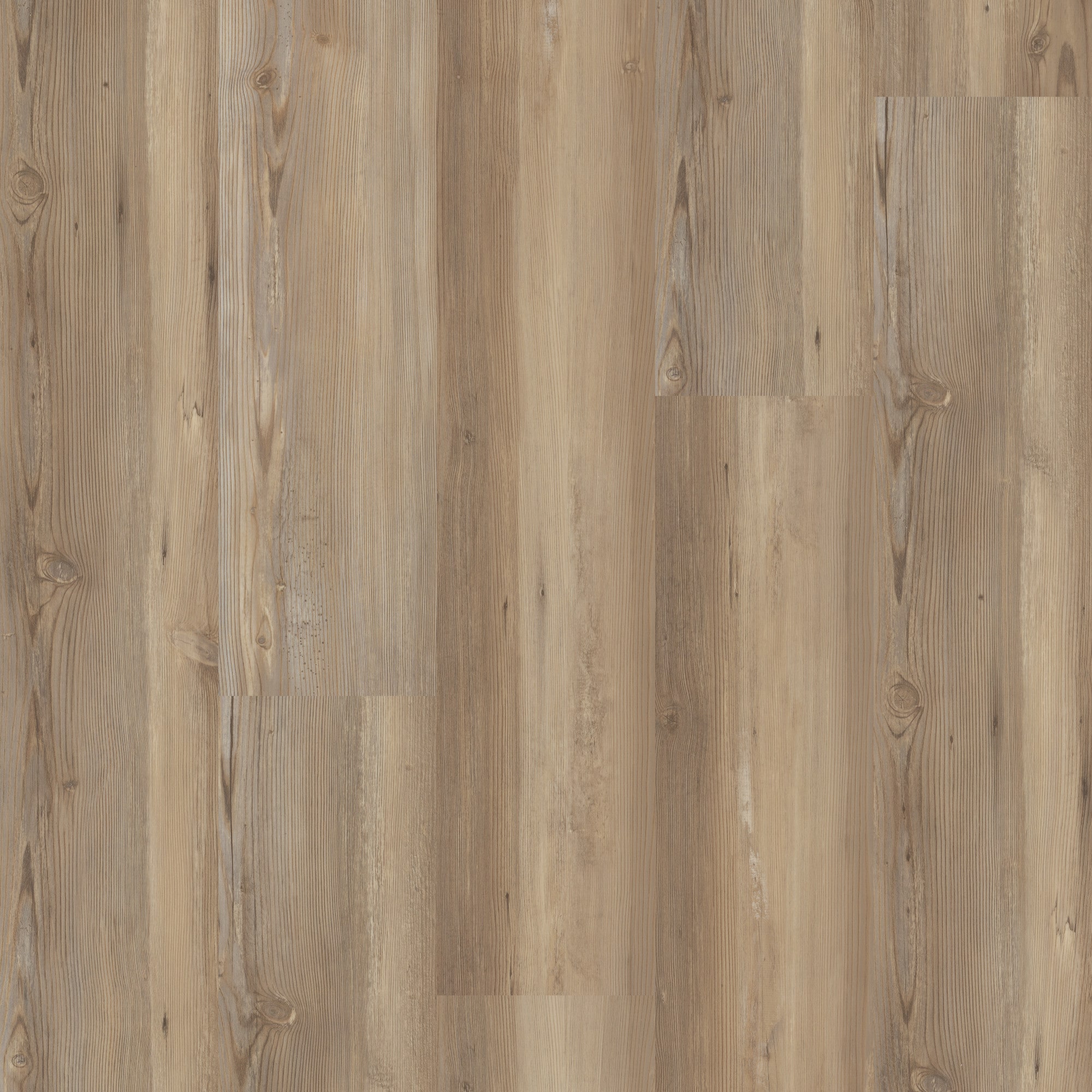 STAINMASTER (Sample) Mecklenberg Pine Brown Wood Look 12-mil Waterproof ...