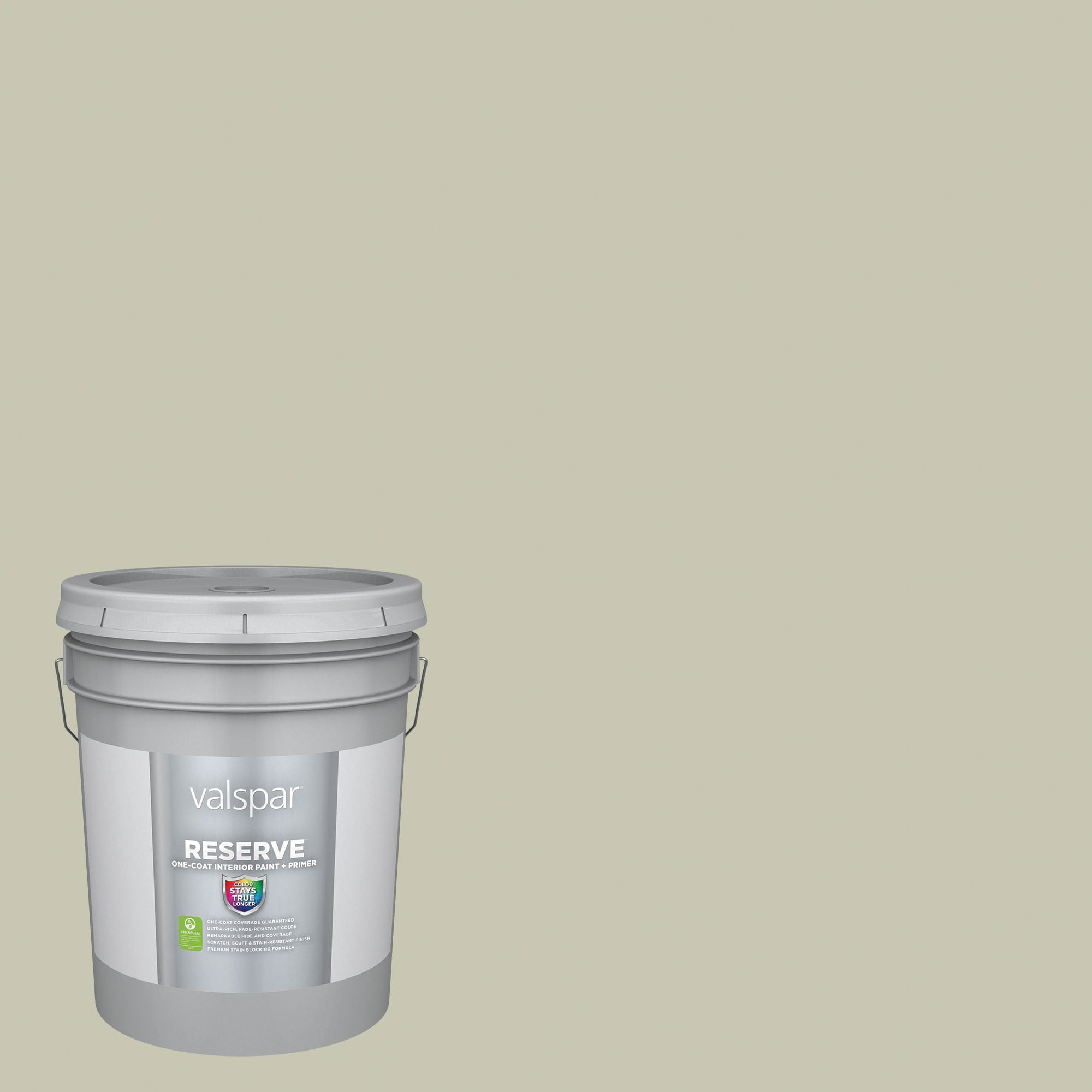 Valspar 6001-3B-2916587 Reserve Semi-gloss Mint Frost 6001-3B Latex Interior Paint Paint + Primer ( 5-gallon )