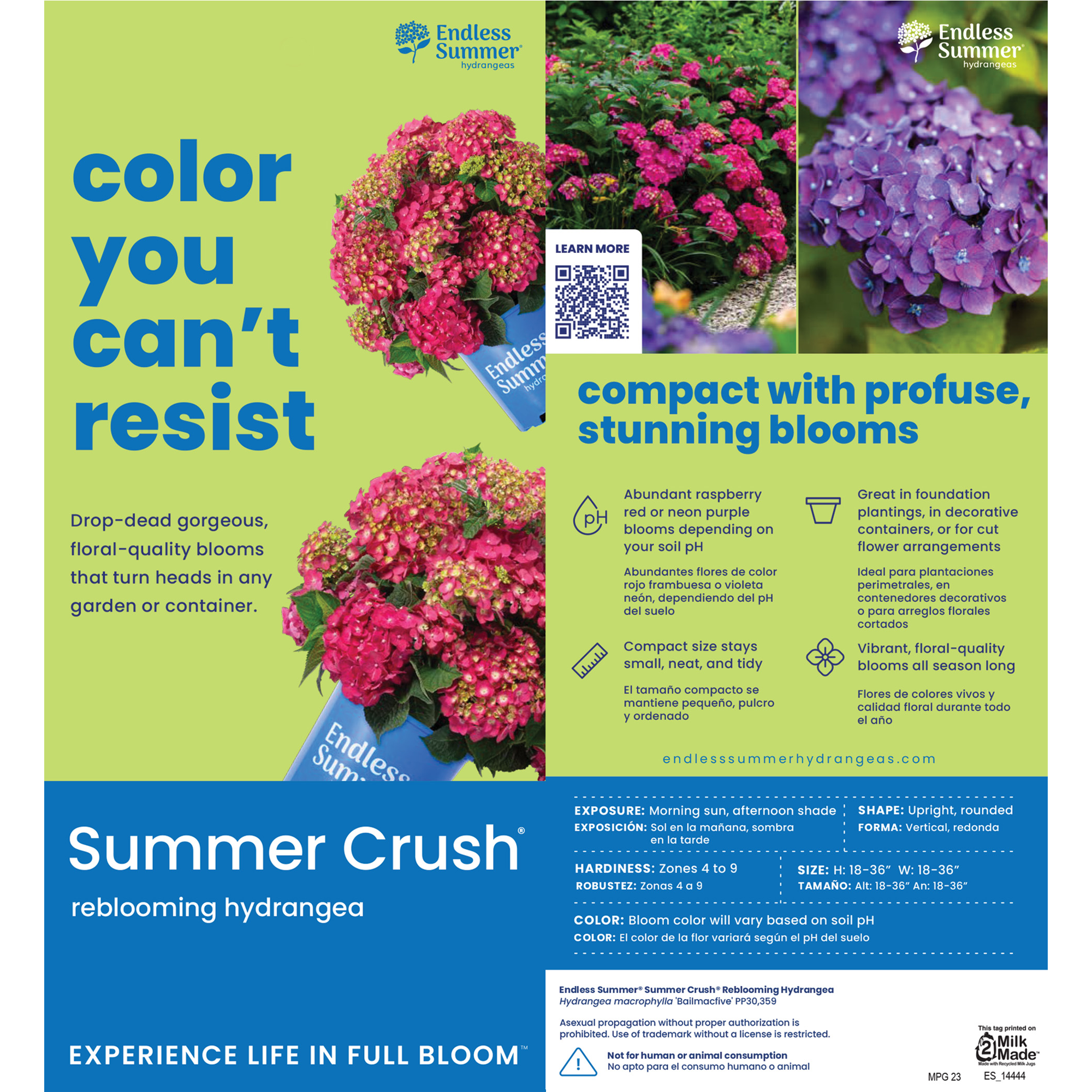 Endless Summer NURSERY shrubs - View #11