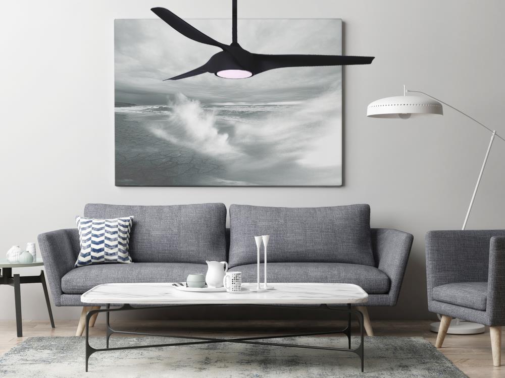 Star Fans 855458007763 Ceiling-Fans - View #3
