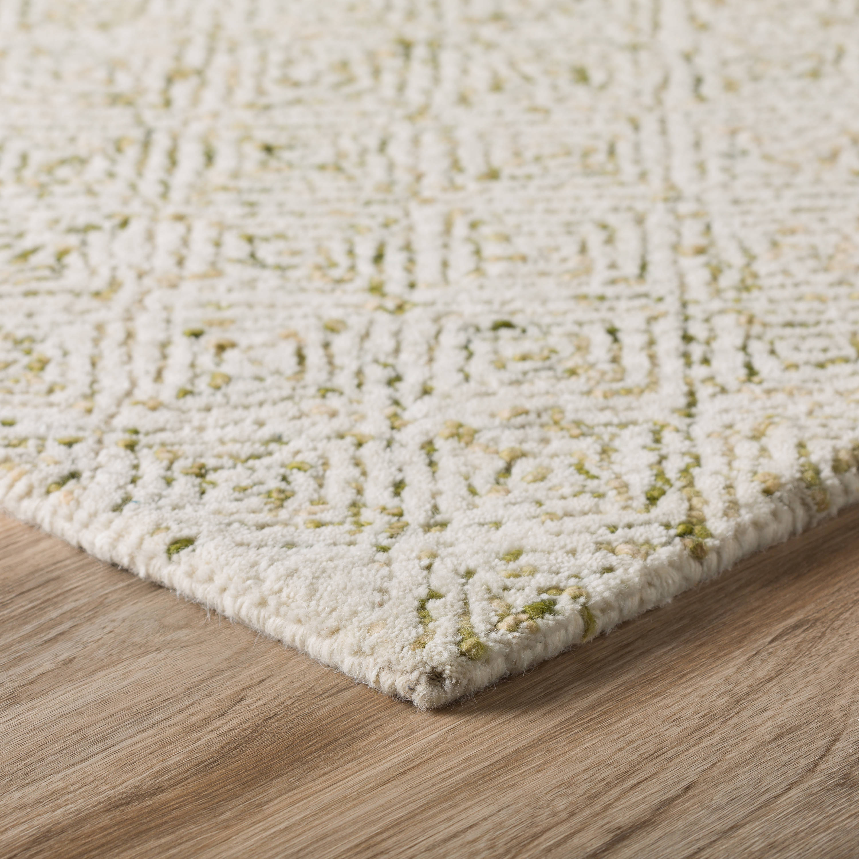 Addison Rugs ADL31MO4X6 rugs - View #3