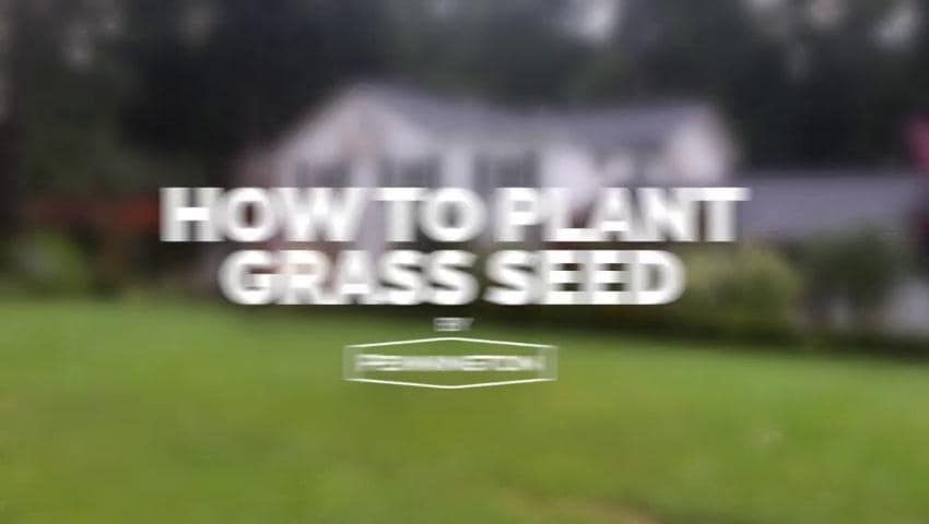 A thumbnail for the video