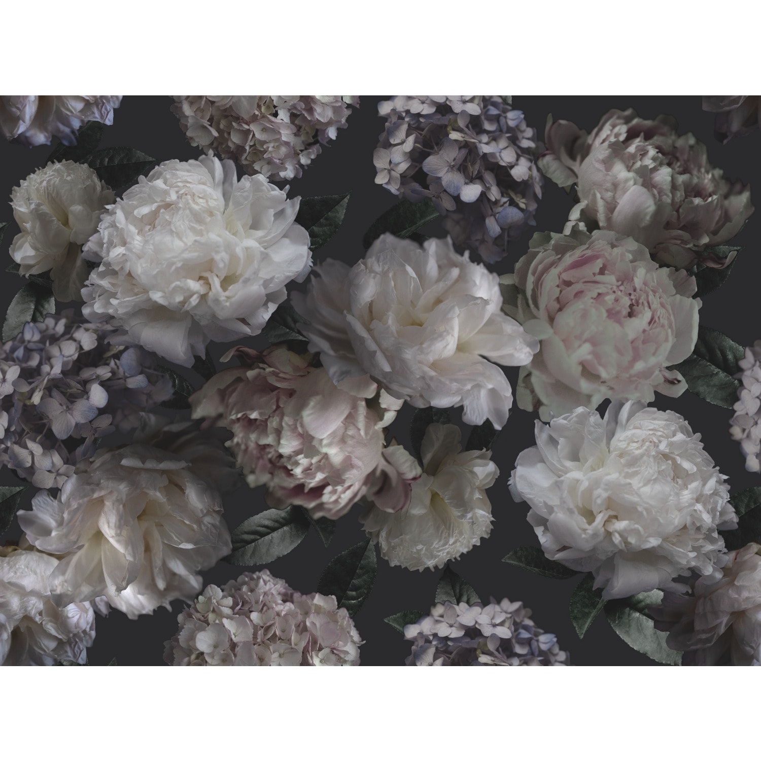 Mr. Kate RMK12322M Black Moonlit Garden Peel and Stick Wallpaper Mural