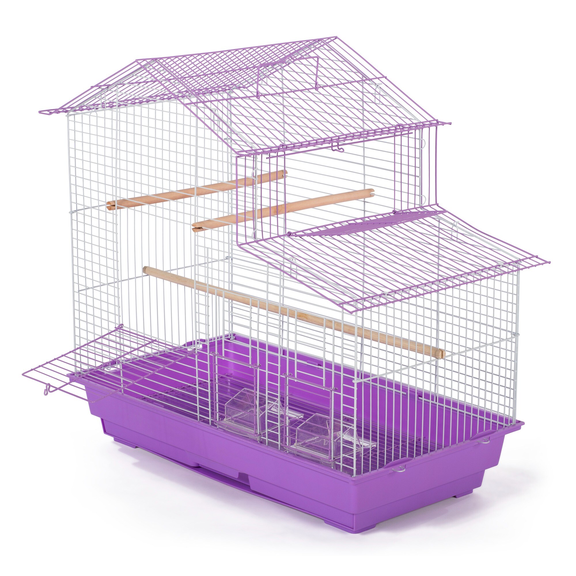 Curated visual reference: Prevue 1 Count Purple Protective Cage In The Bird Feeder Photo Inspiration
