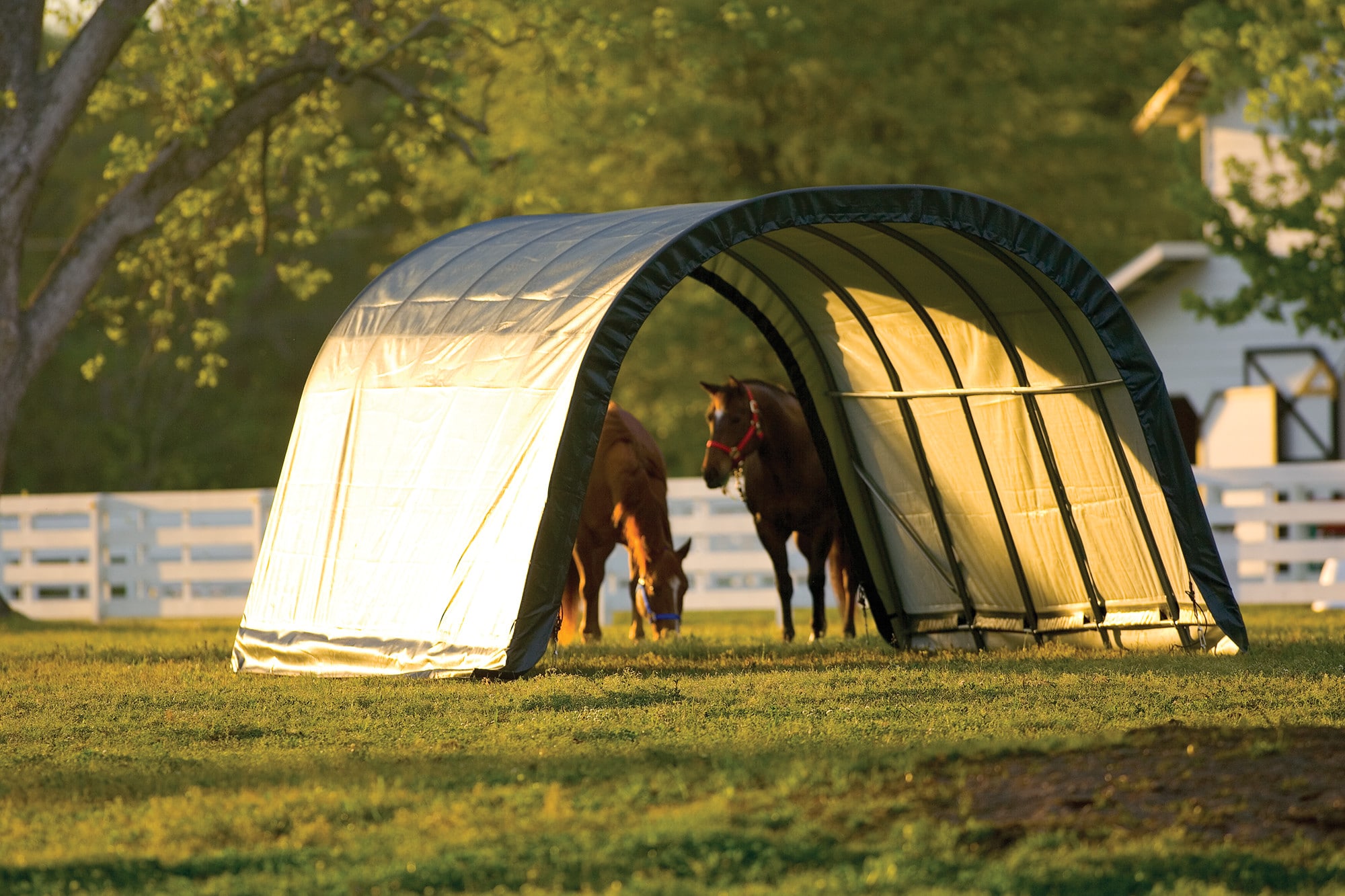 ShelterLogic 51341 Canopy-Storage - View #7
