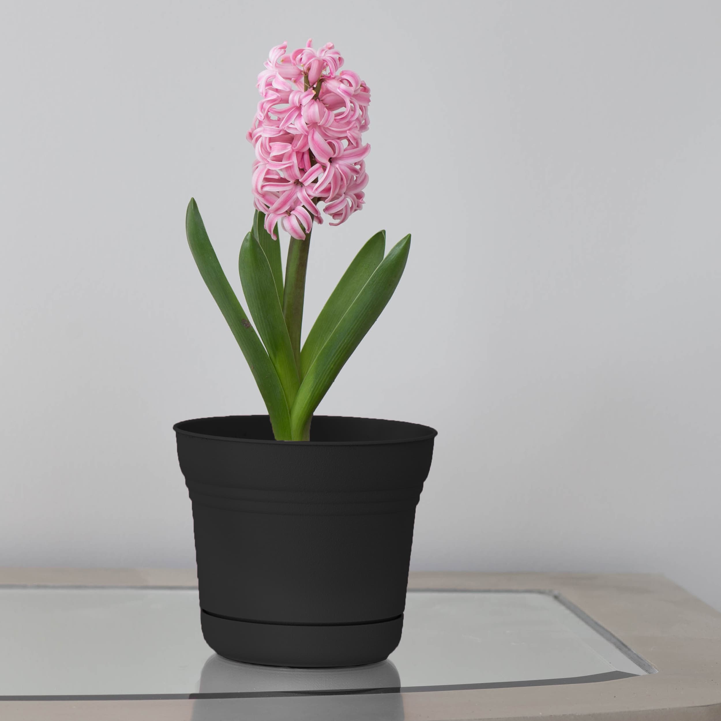 Bloem DCB-SATMIX25 Planter-Window-Box - View #2