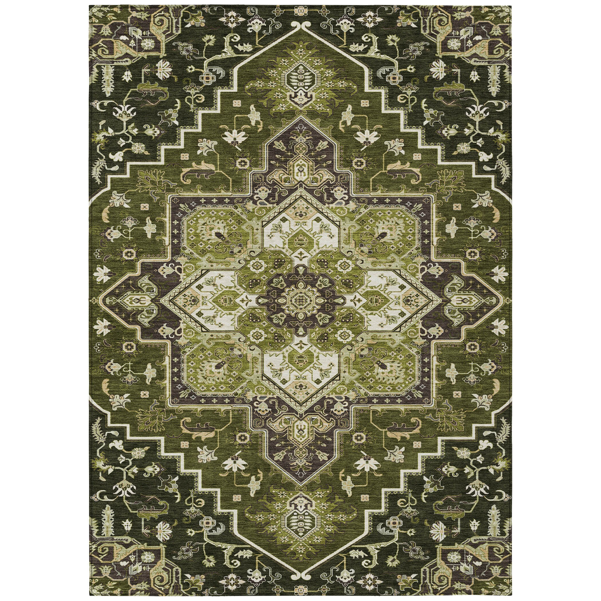 Addison Rugs ACN1036OL30X46 rugs - View #2