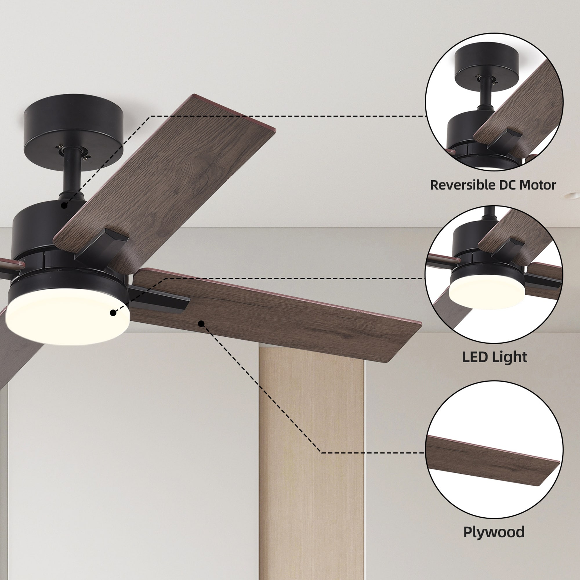 Sunrinx MG65-10-FSD Ceiling-Fans - View #10