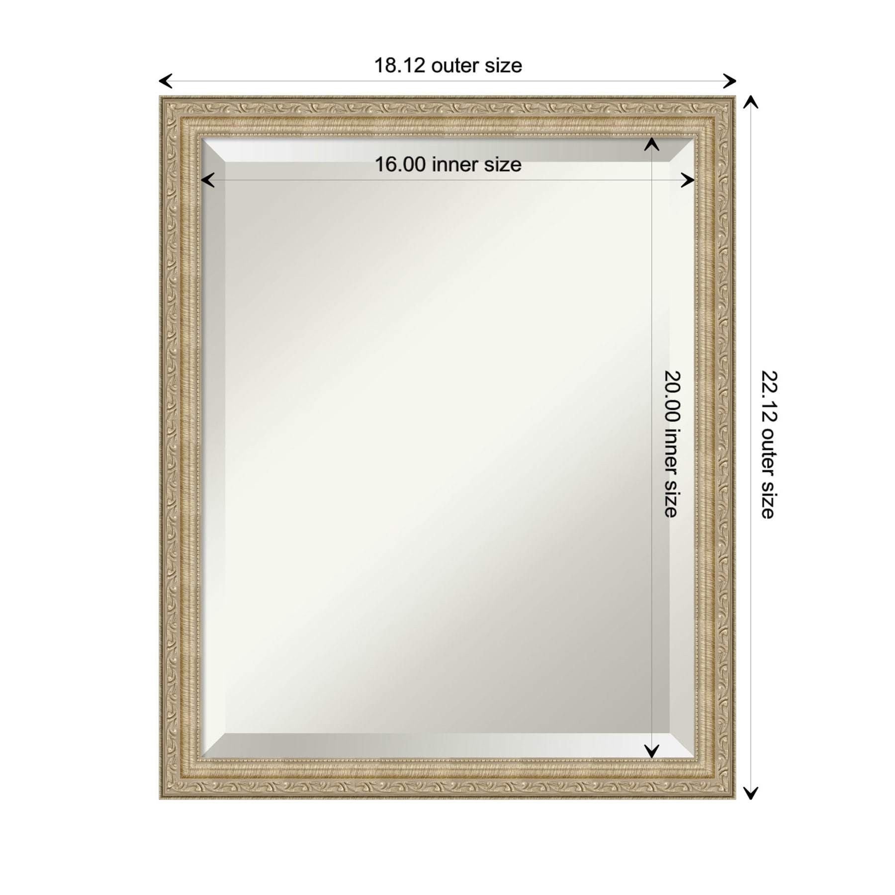 Paris Champagne Bronze Brushed Framed Wall Mirror