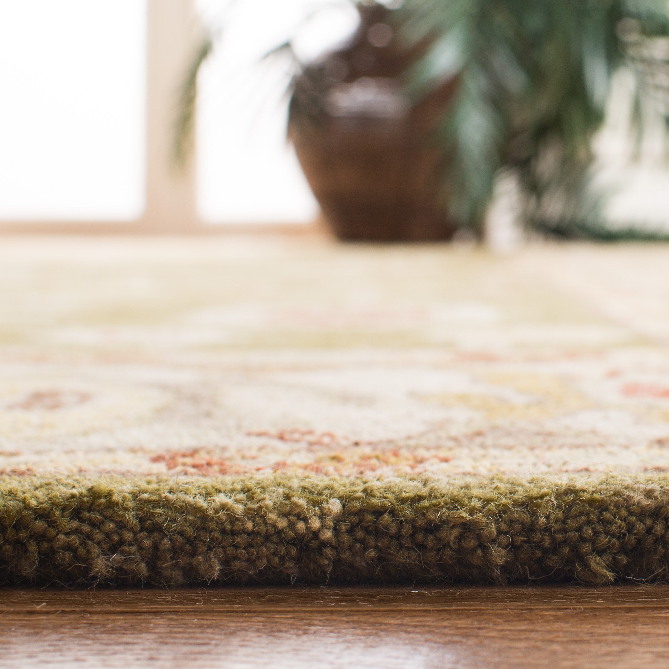 Safavieh AN562D-6 rugs - View #4