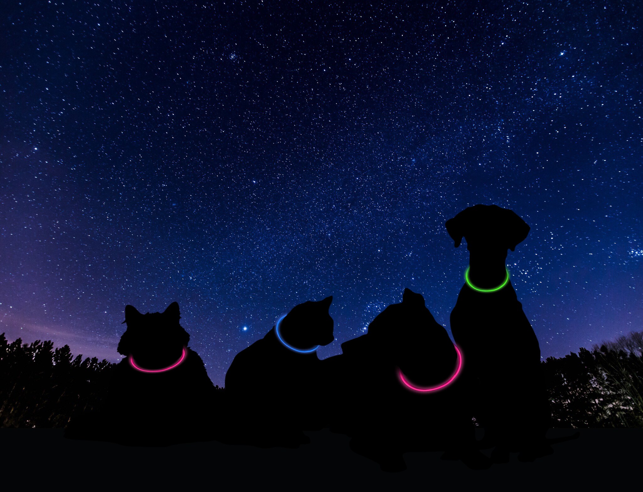 One Power OLP001-SG Dog-Collars-Harnesses - View #4