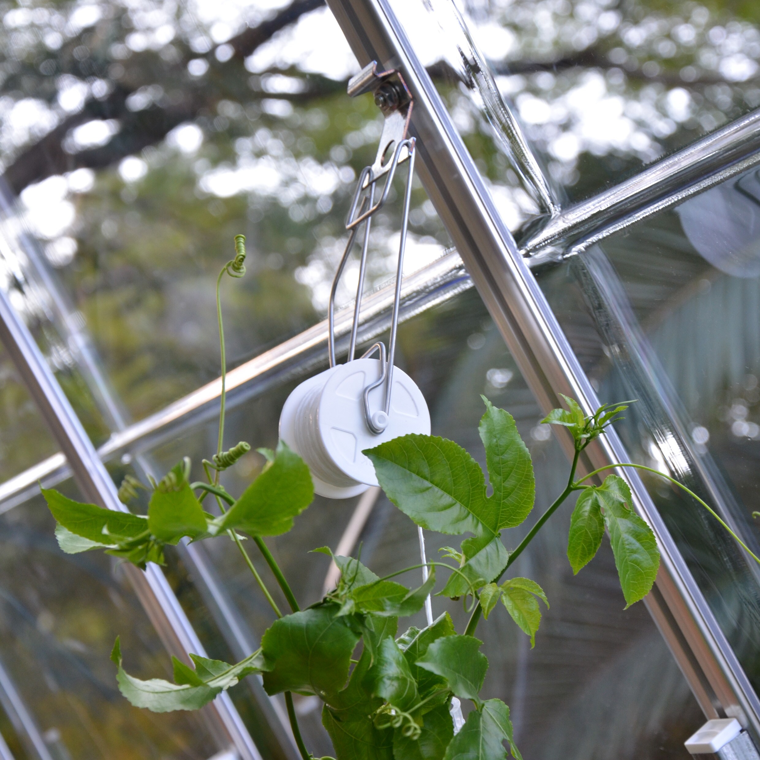 Canopia by Palram 702420 Greenhouse-Vent-Openers - View #6