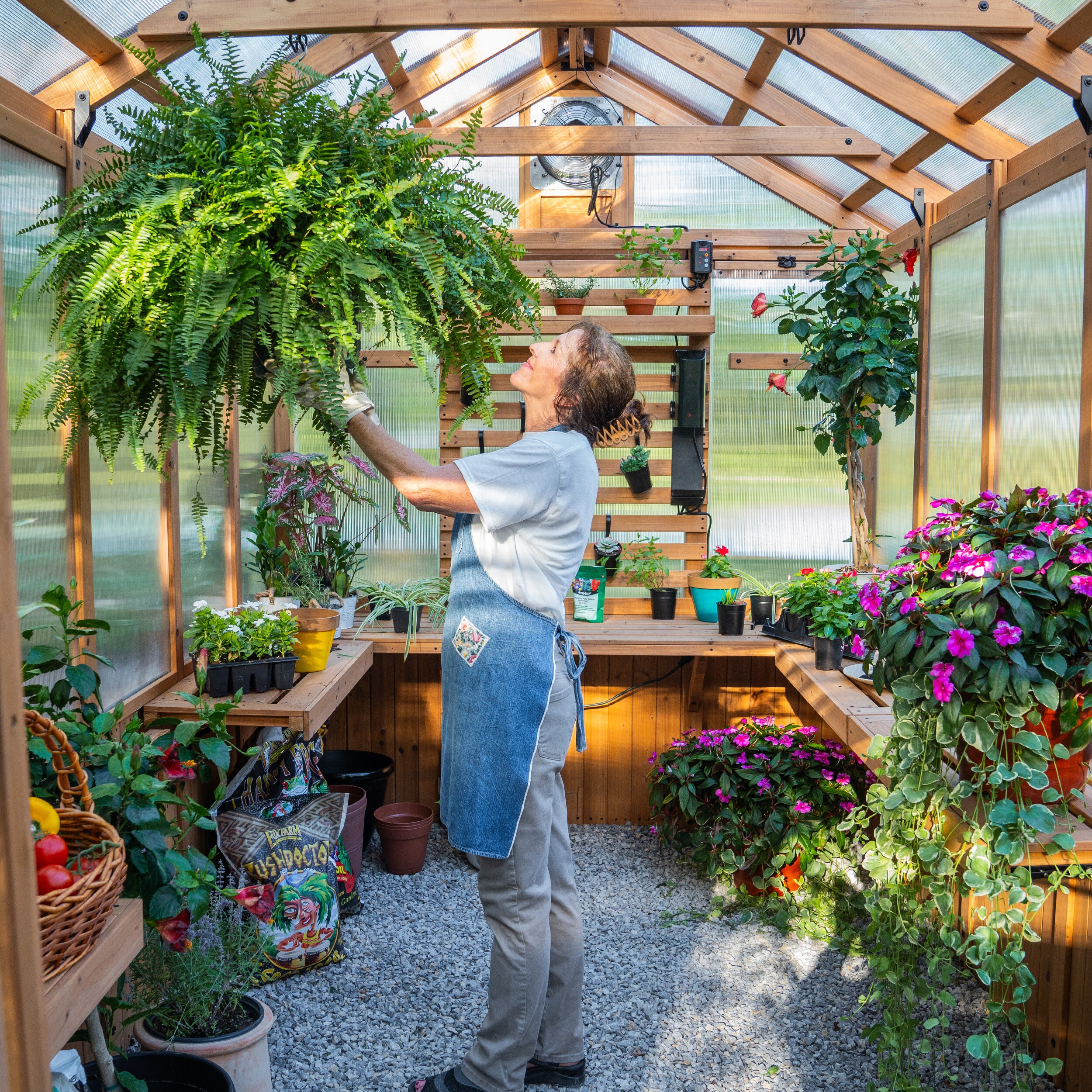 Backyard Discovery 11 x 7 Cedar and Polycarbonate Greenhouse