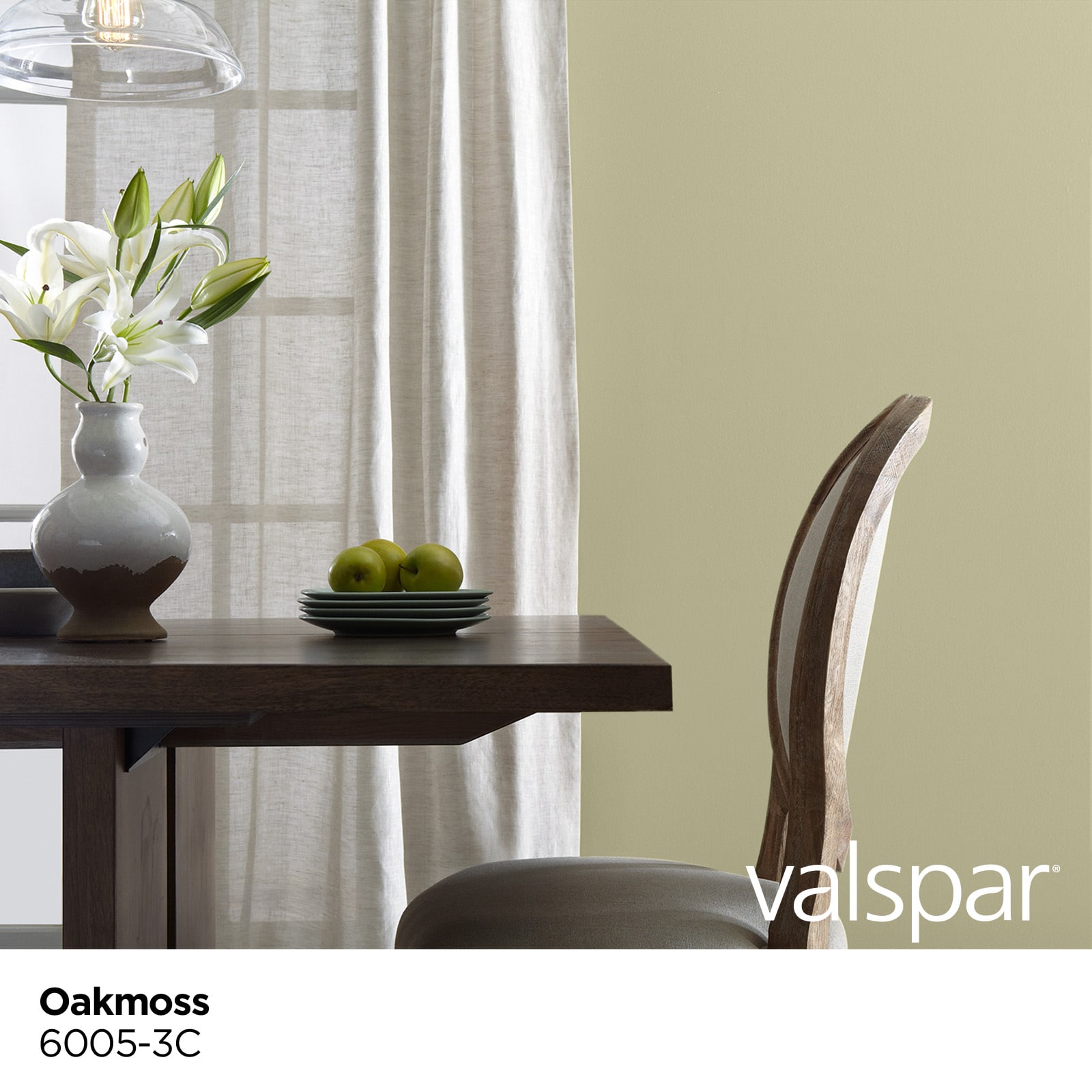 Valspar 6005-3C-935295 Int-Ext-Paint - View #3