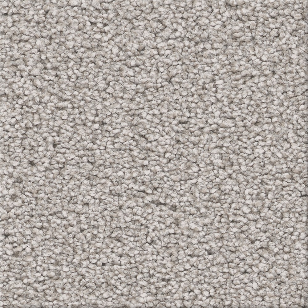 STAINMASTER PetProtect 7L96800530 with LeakDefense Canine Corner II Marble Gray 68.2-oz sq yard High-performance polyester Textured Indoor Carpet