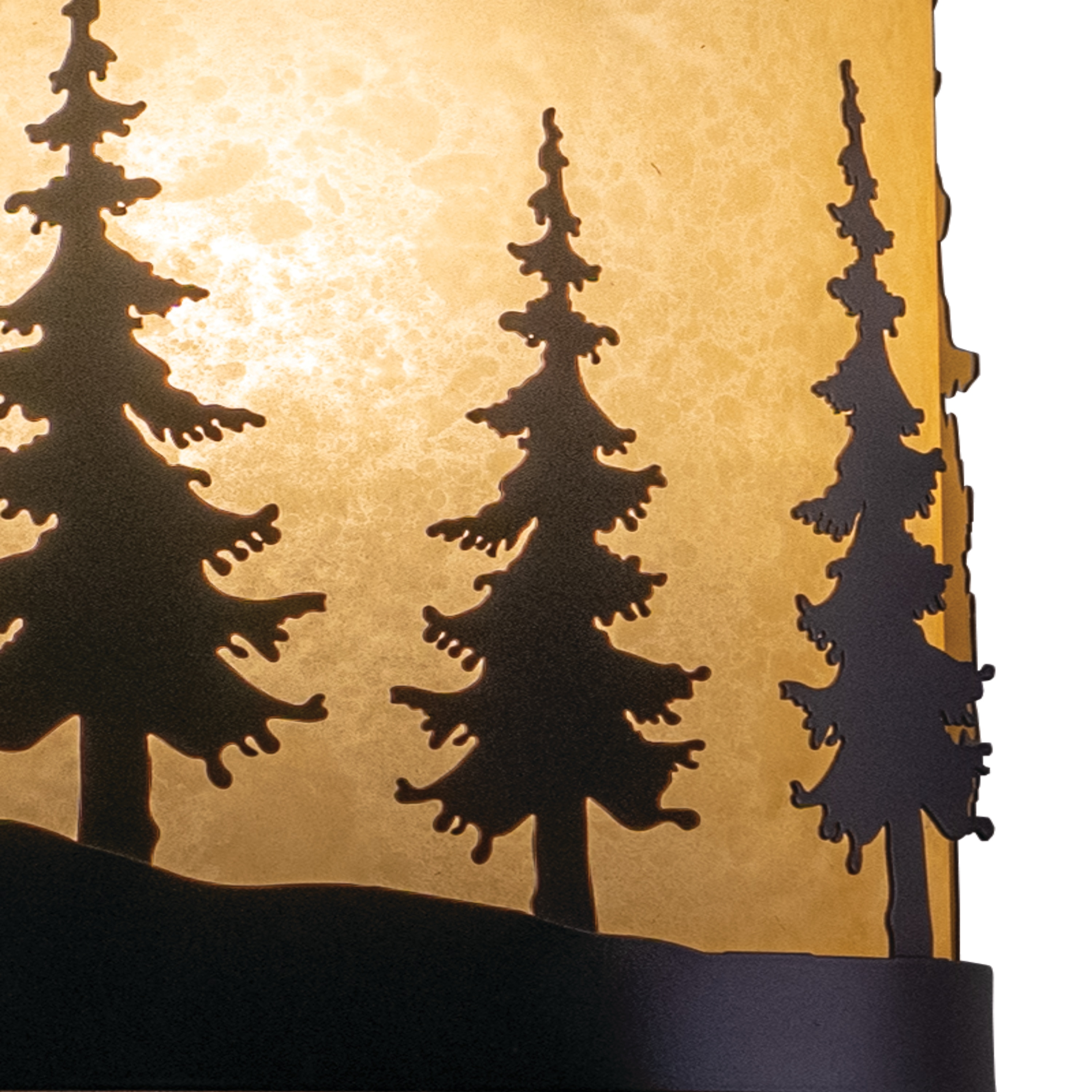 Cascadia WS55508BBZ b090000 - View #11