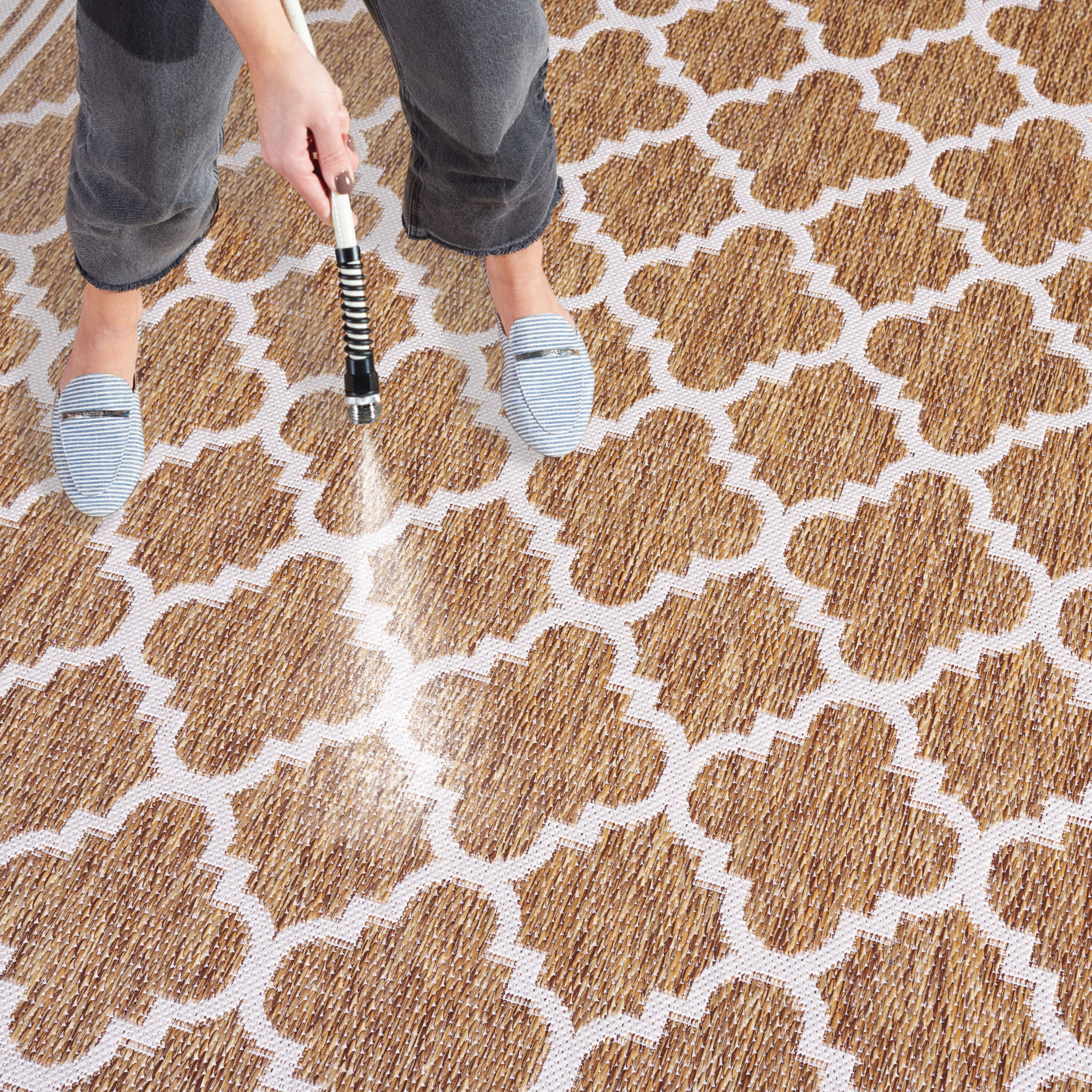 Safavieh BHS266T-4 rugs - View #6