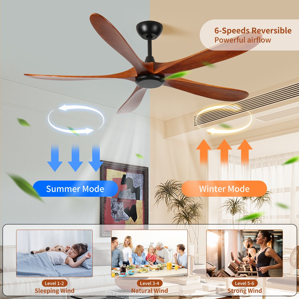 Duclsaty W2352P306690 Ceiling-Fans - View #2