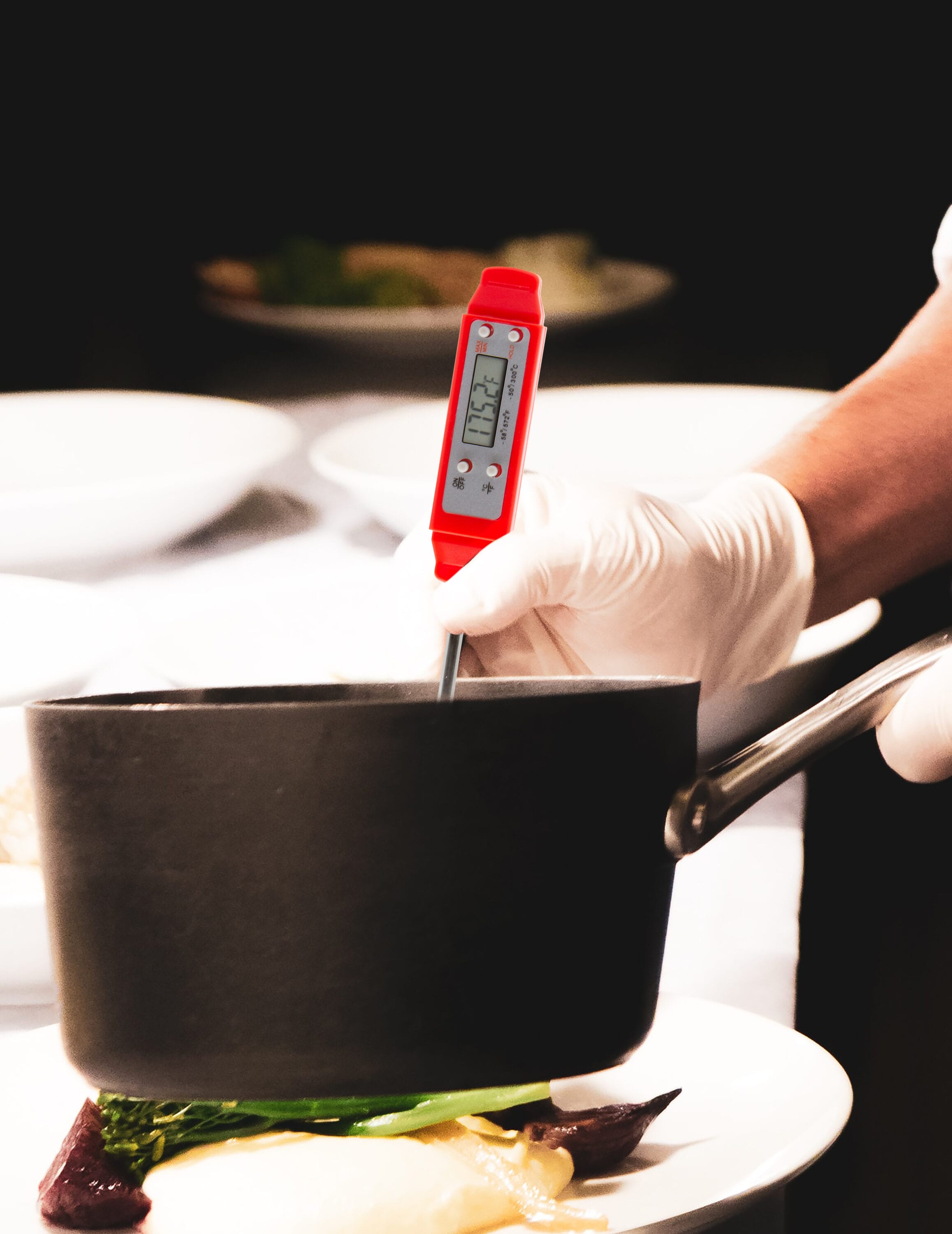 TRIPLETT TMP10 Meat-Thermometers - View #9