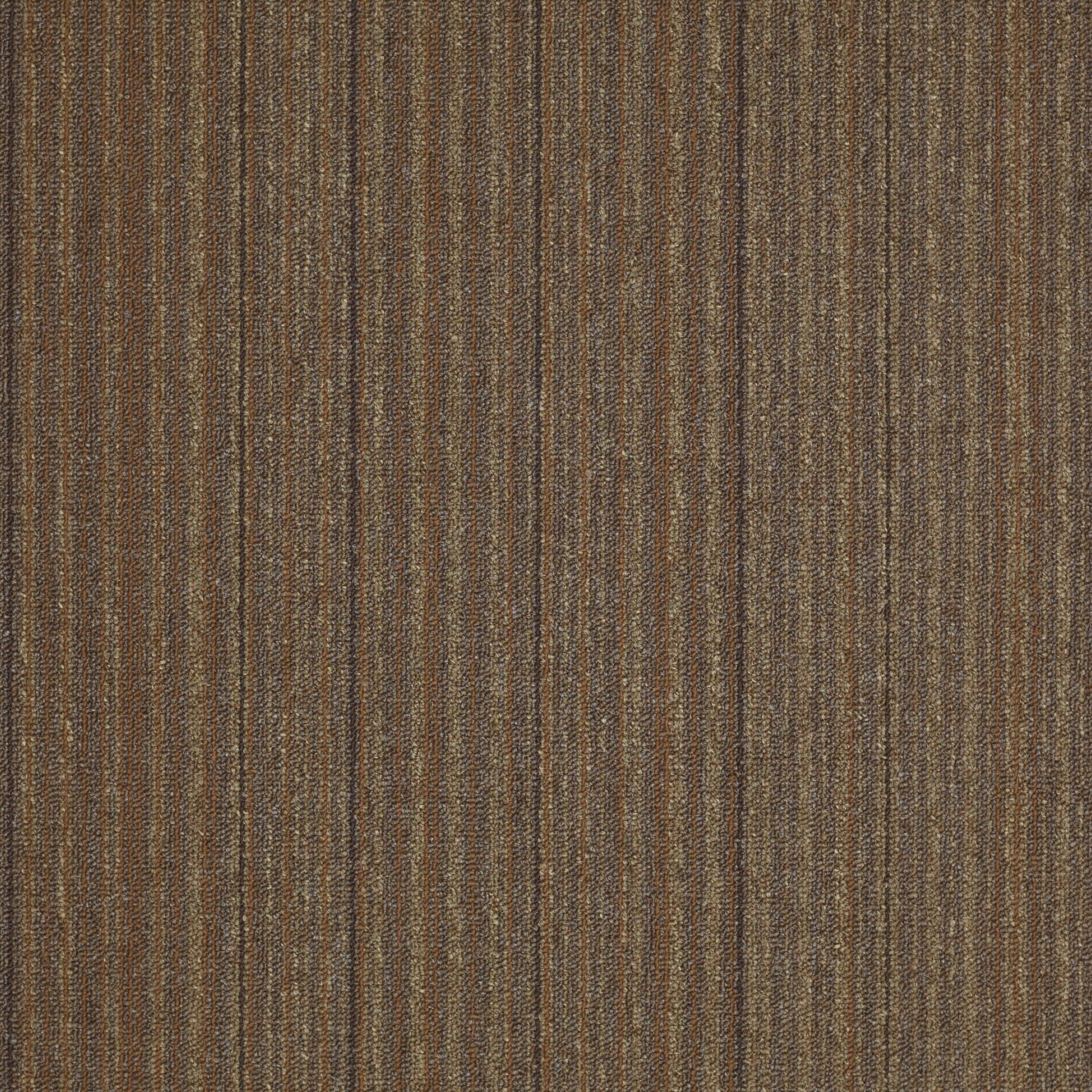 Shaw 7L80700720 In The Groove 24-in x 24-in It's A Miracle Brown Commercial Adhesive Indoor Carpet Tile ( 48-Sq. Feet )