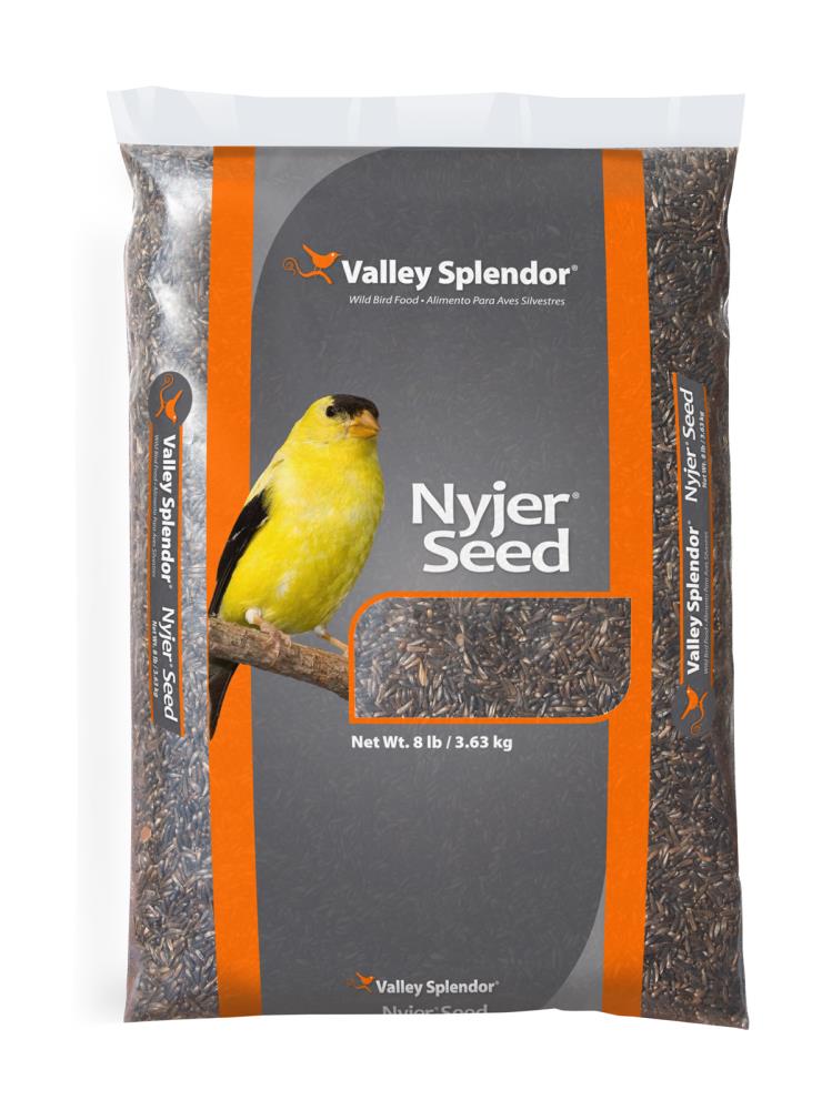 nyjer seed lowes