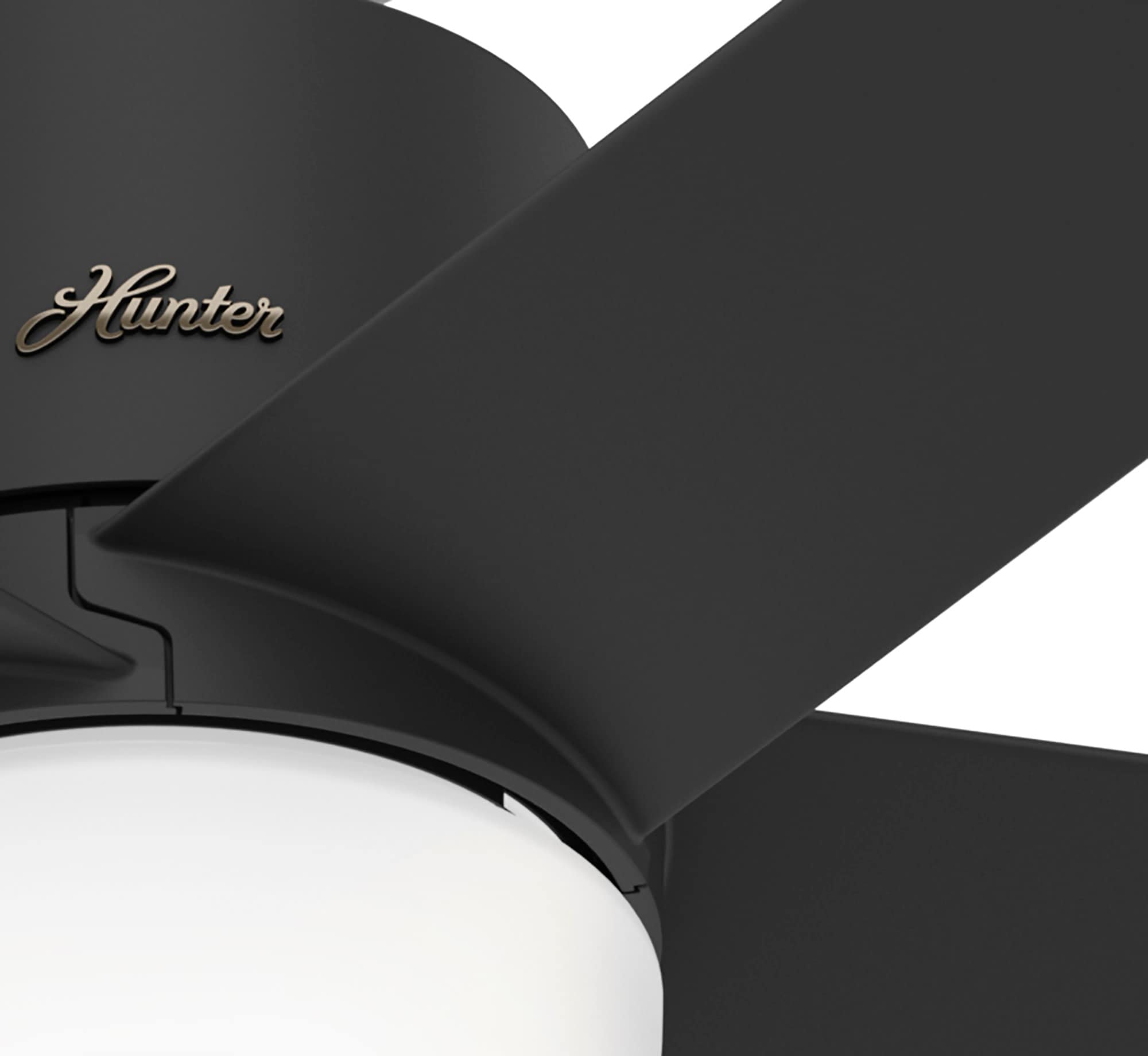 Hunter 51198 Ceiling-Fans - View #9