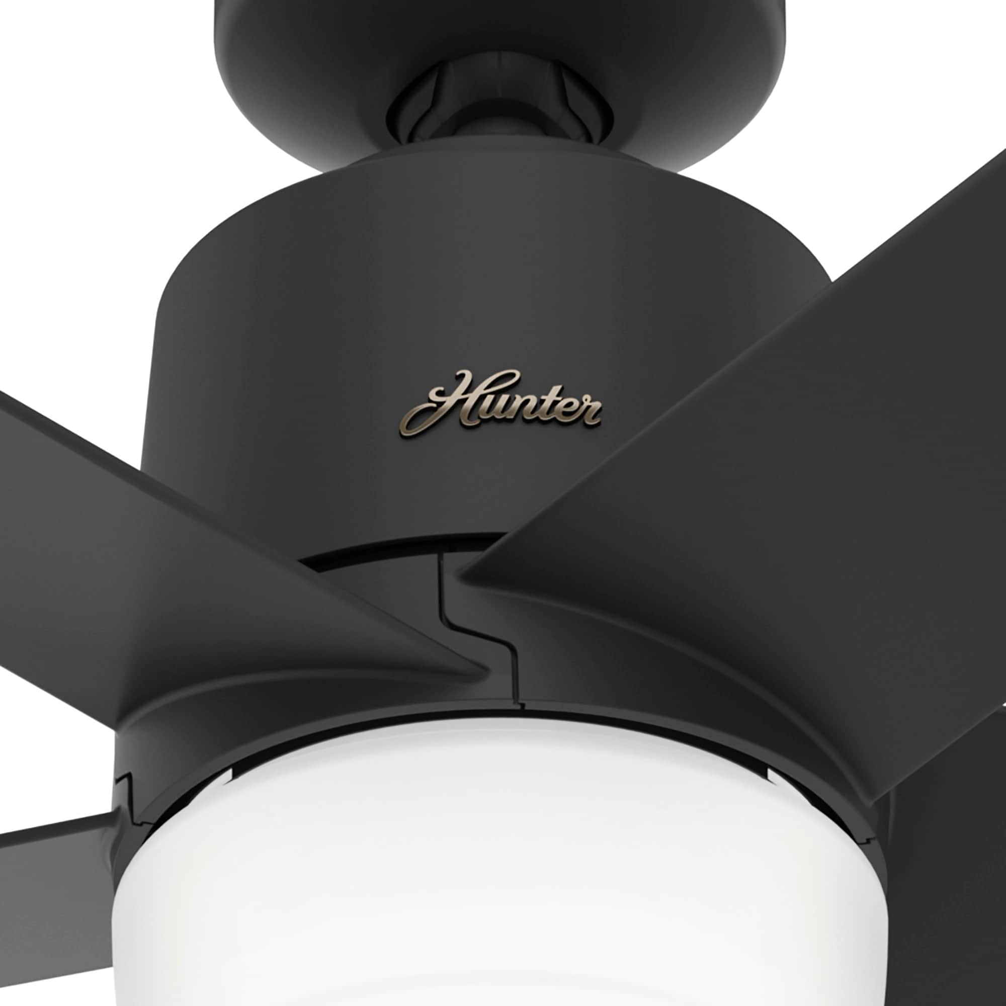 Hunter 51198 Ceiling-Fans - View #14