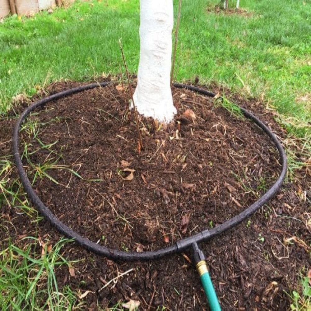 Maximize Garden Growth with Lowe’s Soaker Hose Selection