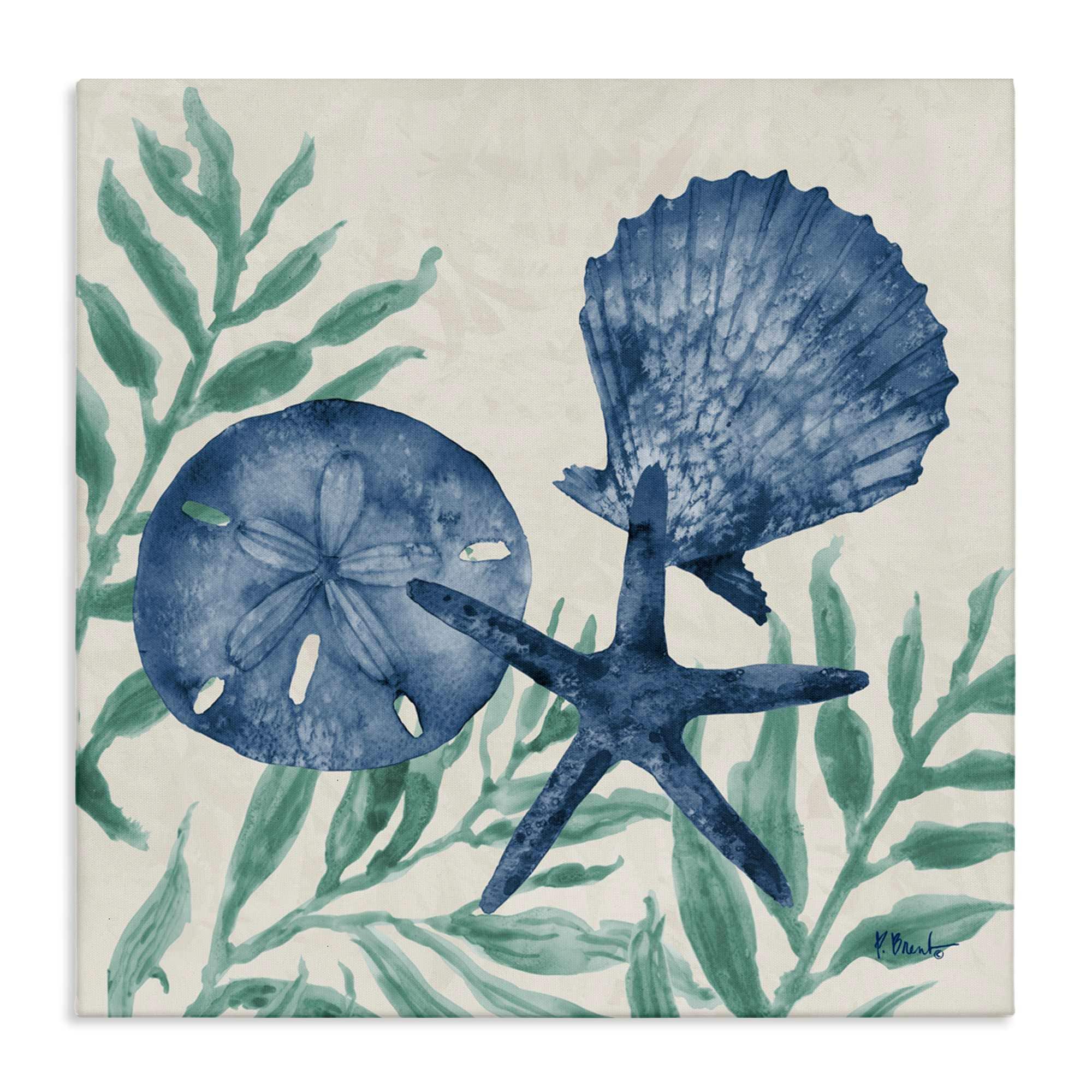 Stupell Industries BX-684-CN-24X24 Maritime Tampico Shells Canvas Art 24 x 24