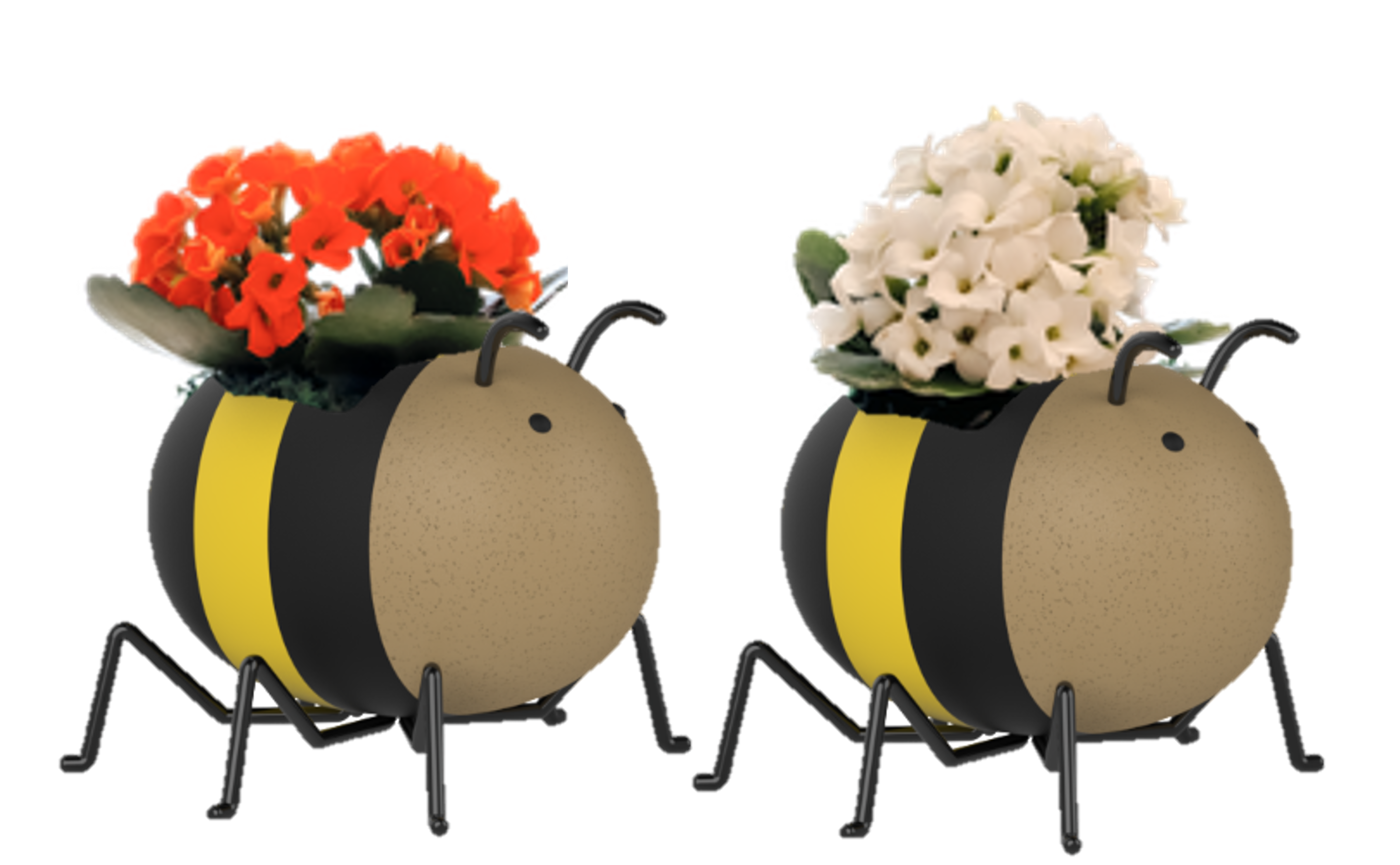 LiveTrends MARQP1 Multicolor Sweet Bee - Air Plant House plant in 1 -Pack Pot 1.0 -Pack